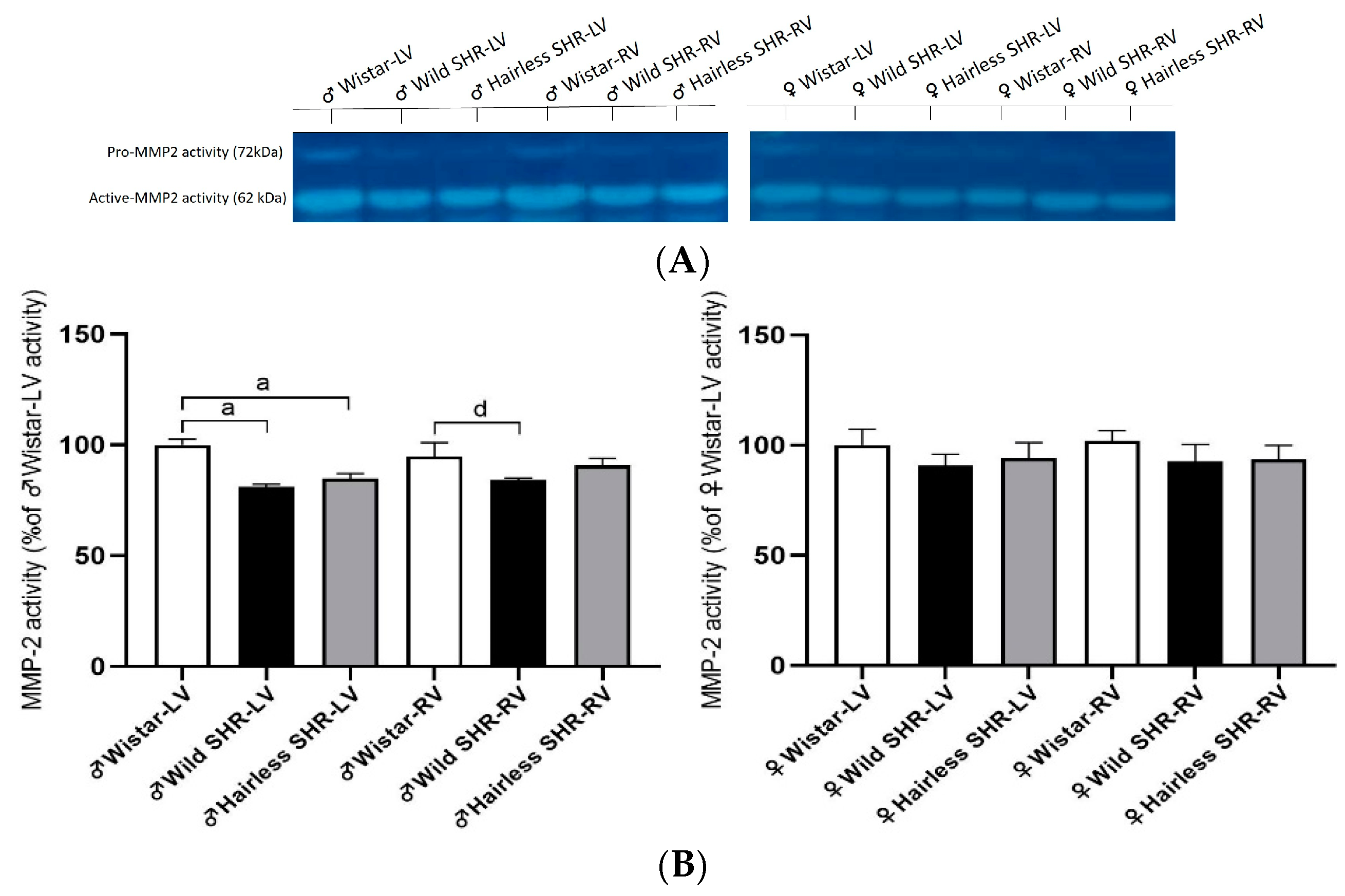 Biomolecules 14 01509 g010