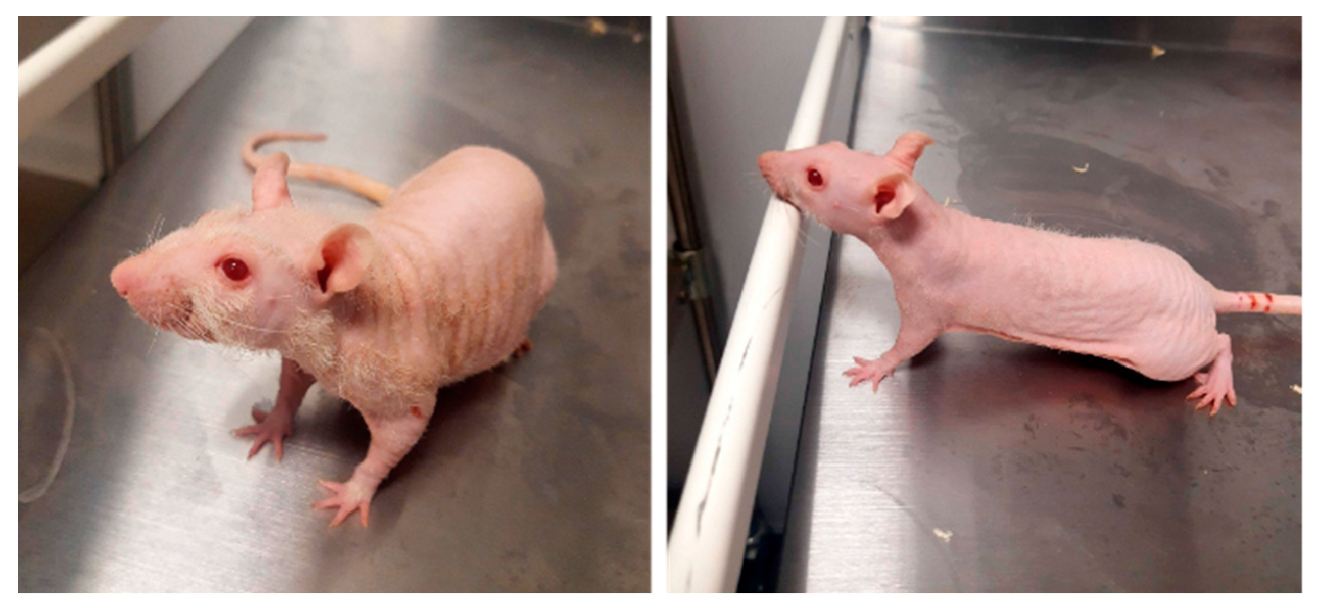 Biomolecules 14 01509 g011