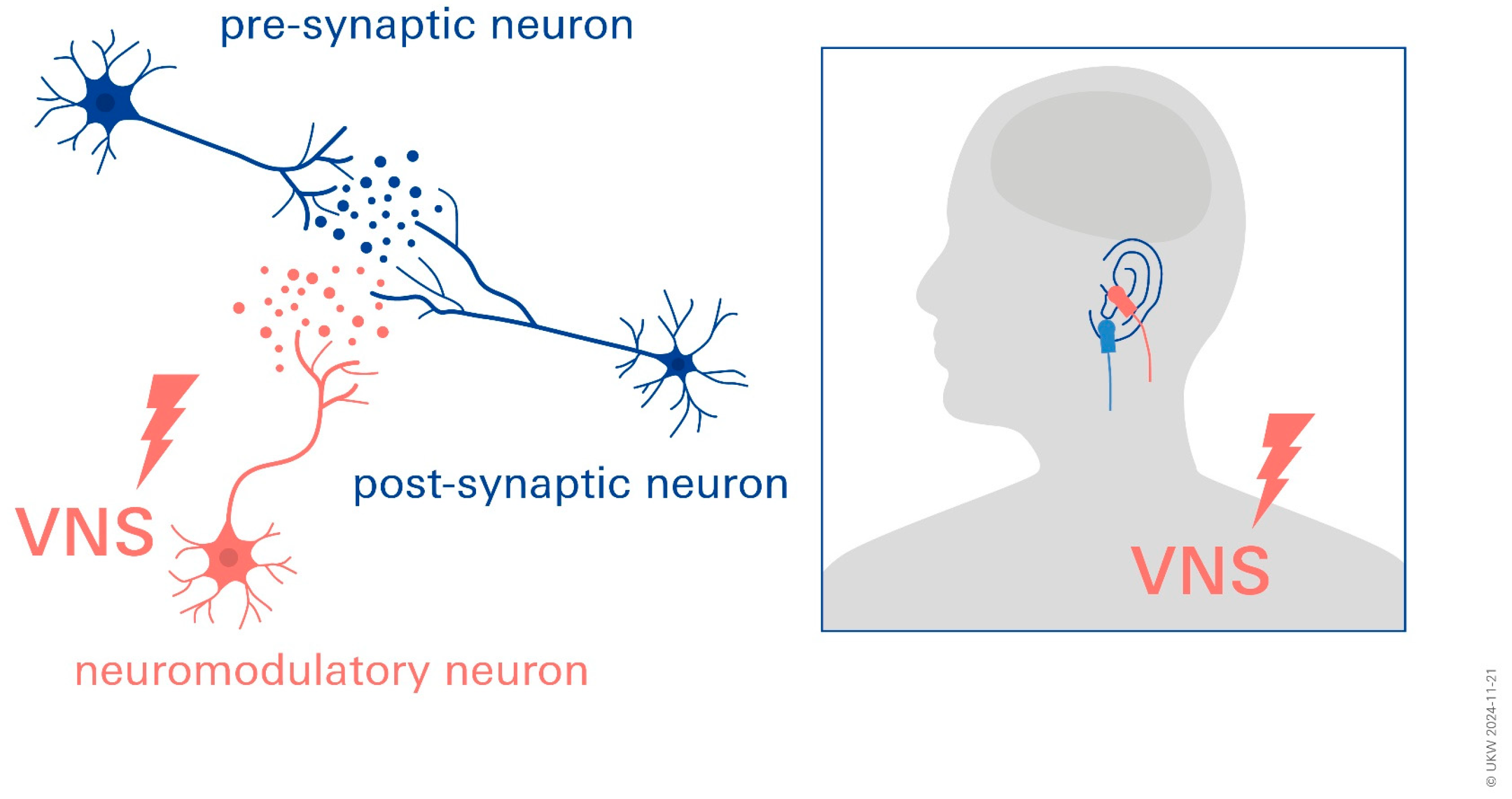 Biomolecules 14 01511 g002
