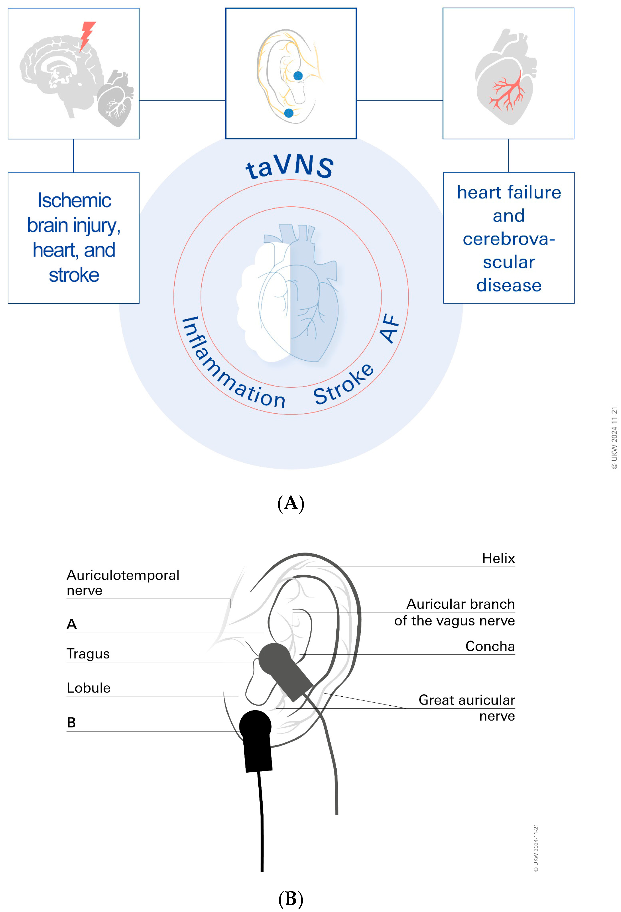 Biomolecules 14 01511 g004