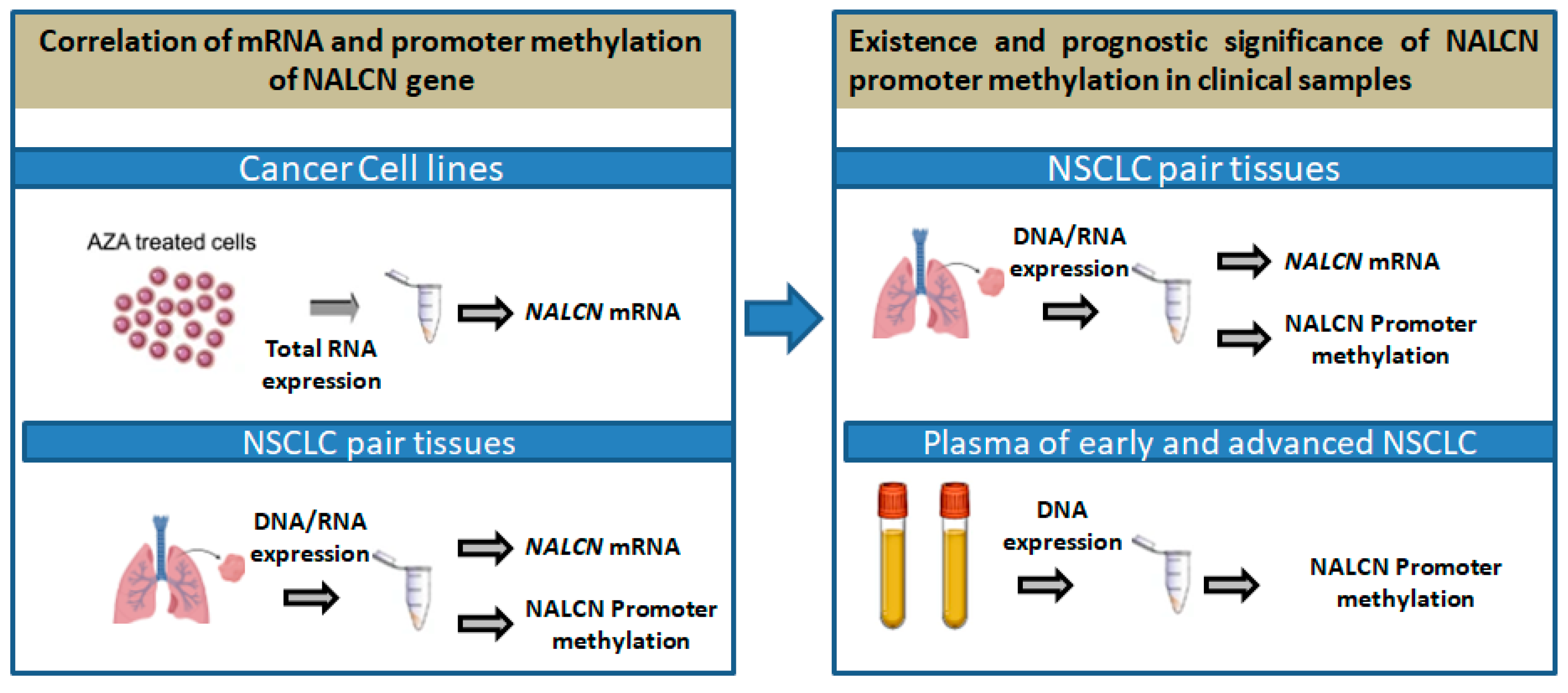 Biomolecules 14 01514 g001 Biomolecules 14 01514 g001