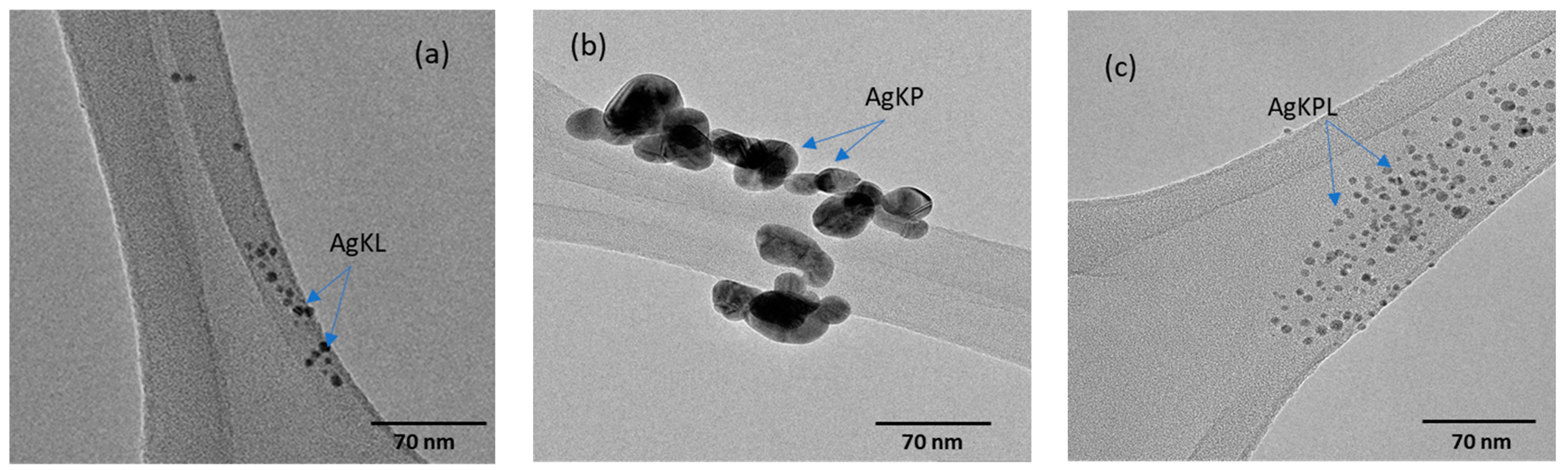 Biomolecules 14 01516 g007