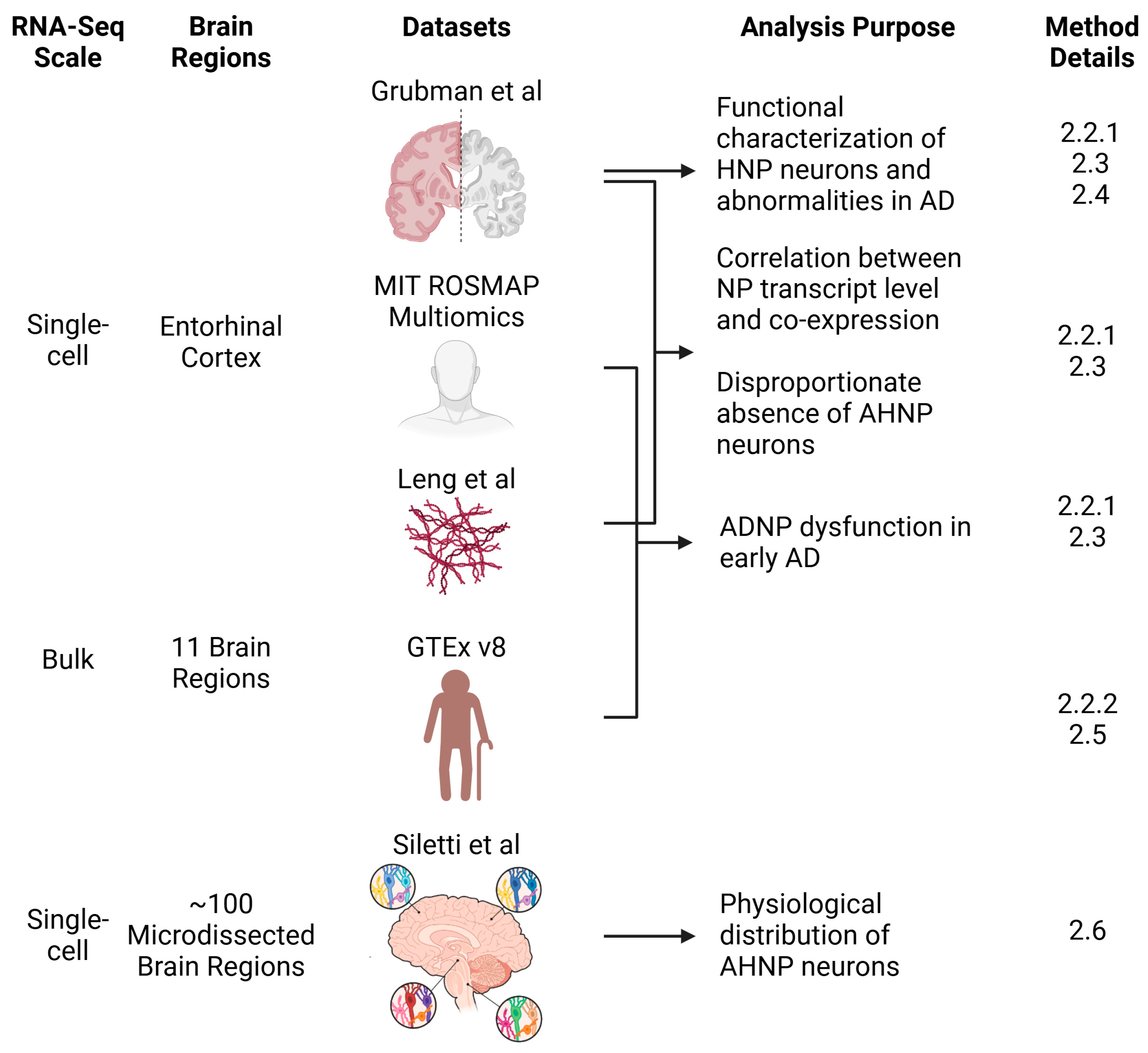 Biomolecules 14 01518 g002 Biomolecules 14 01518 g002