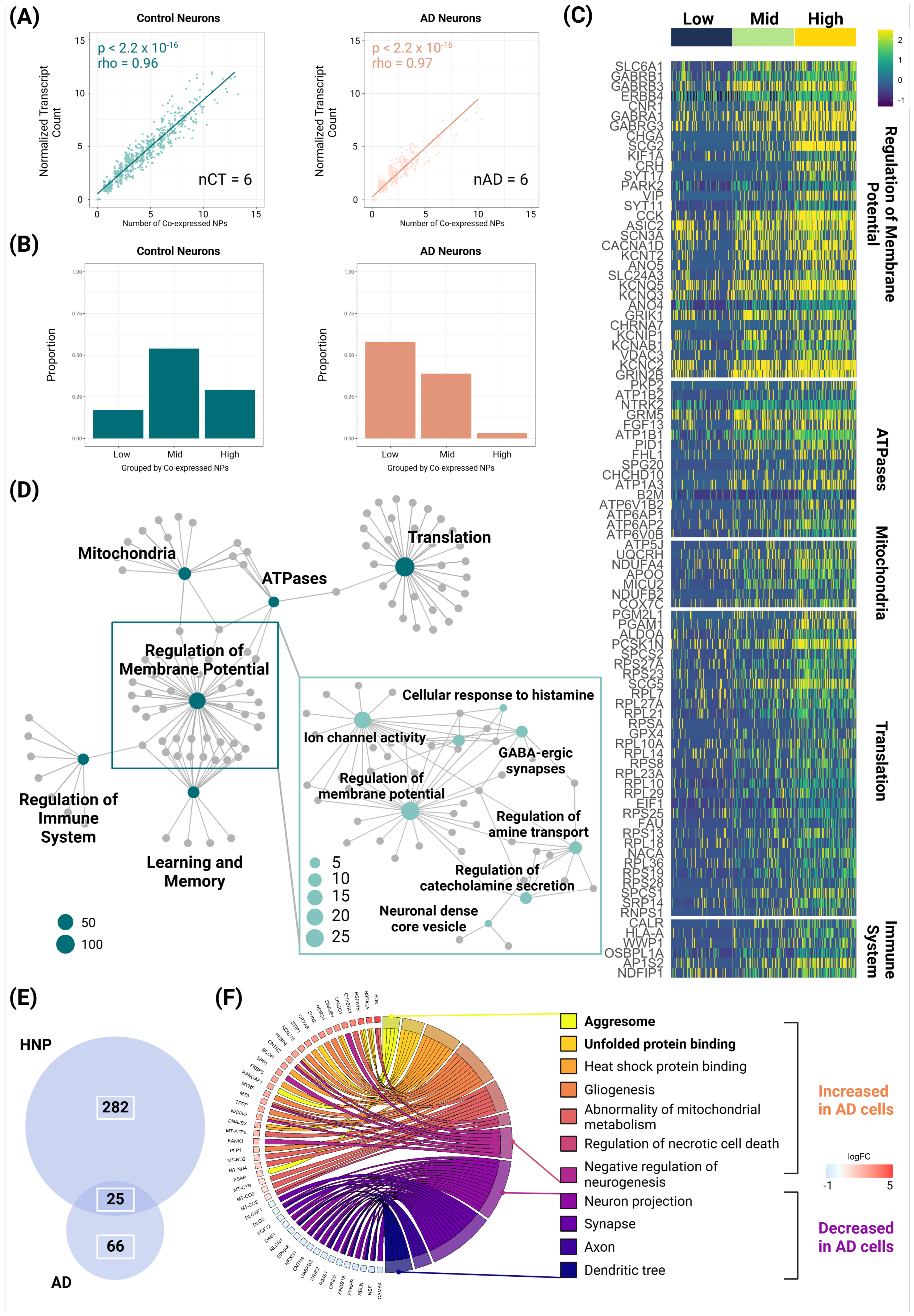 Biomolecules 14 01518 g003 Biomolecules 14 01518 g003