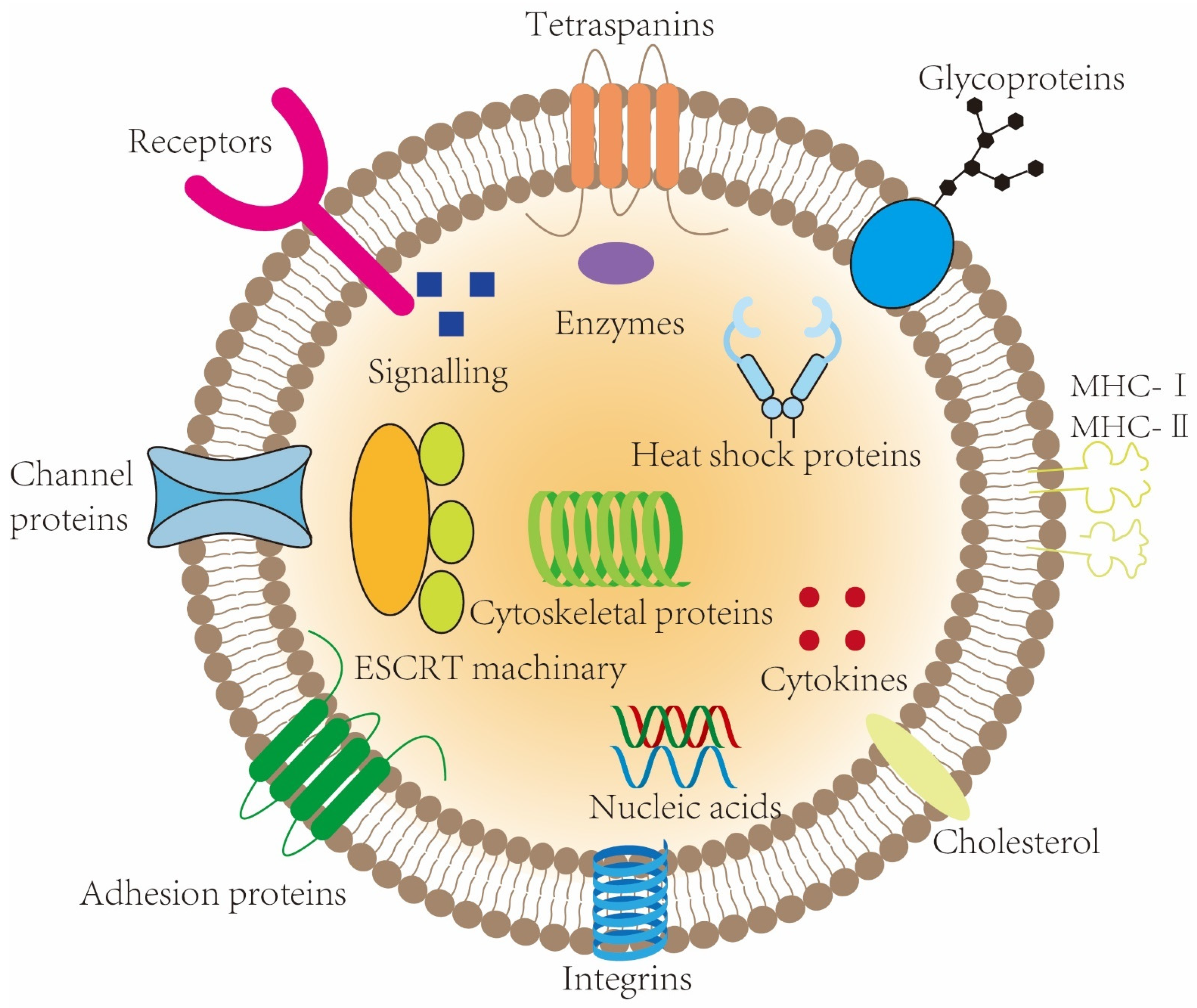 Biomolecules 14 01519 g002