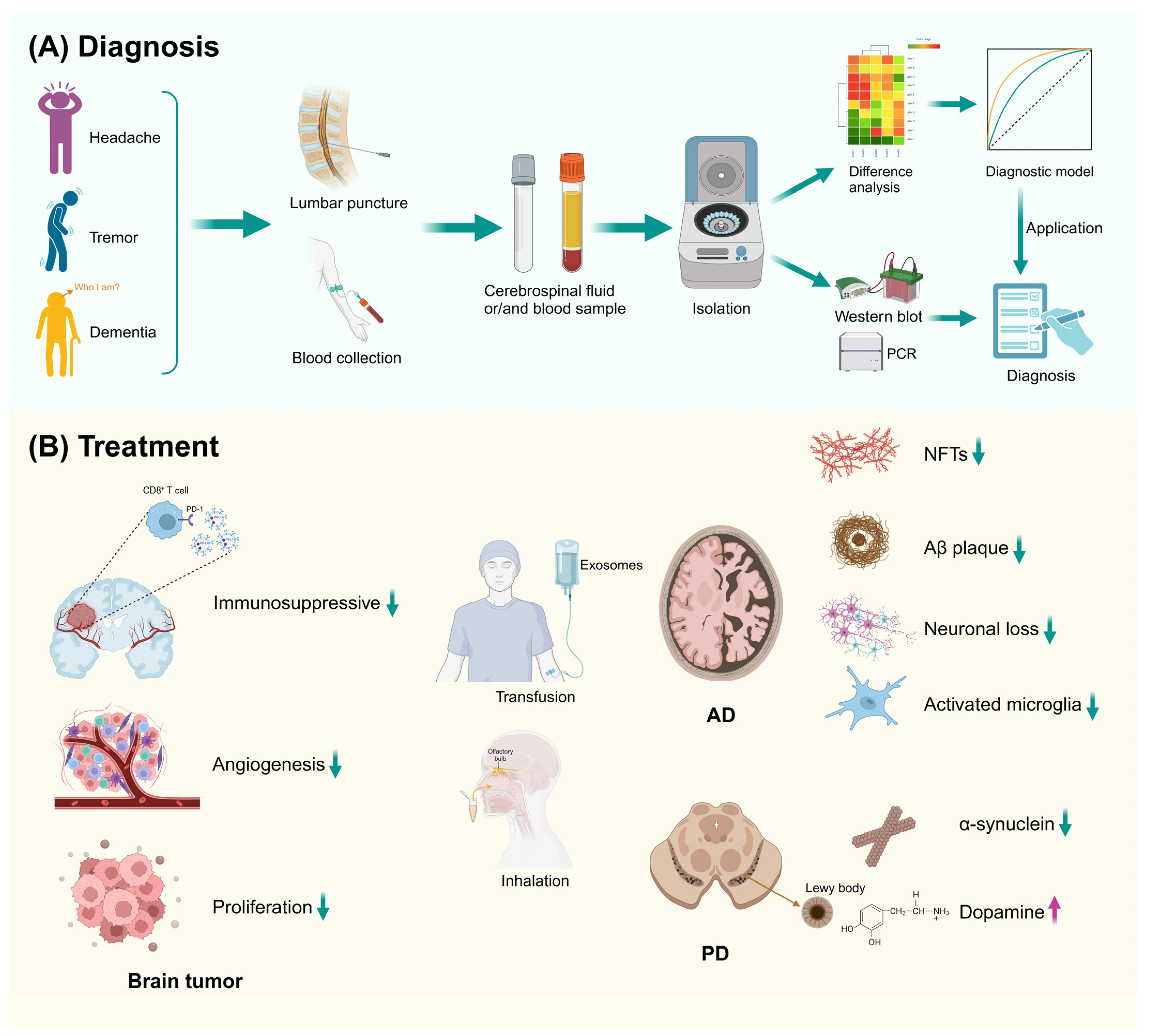 Biomolecules 14 01519 g004