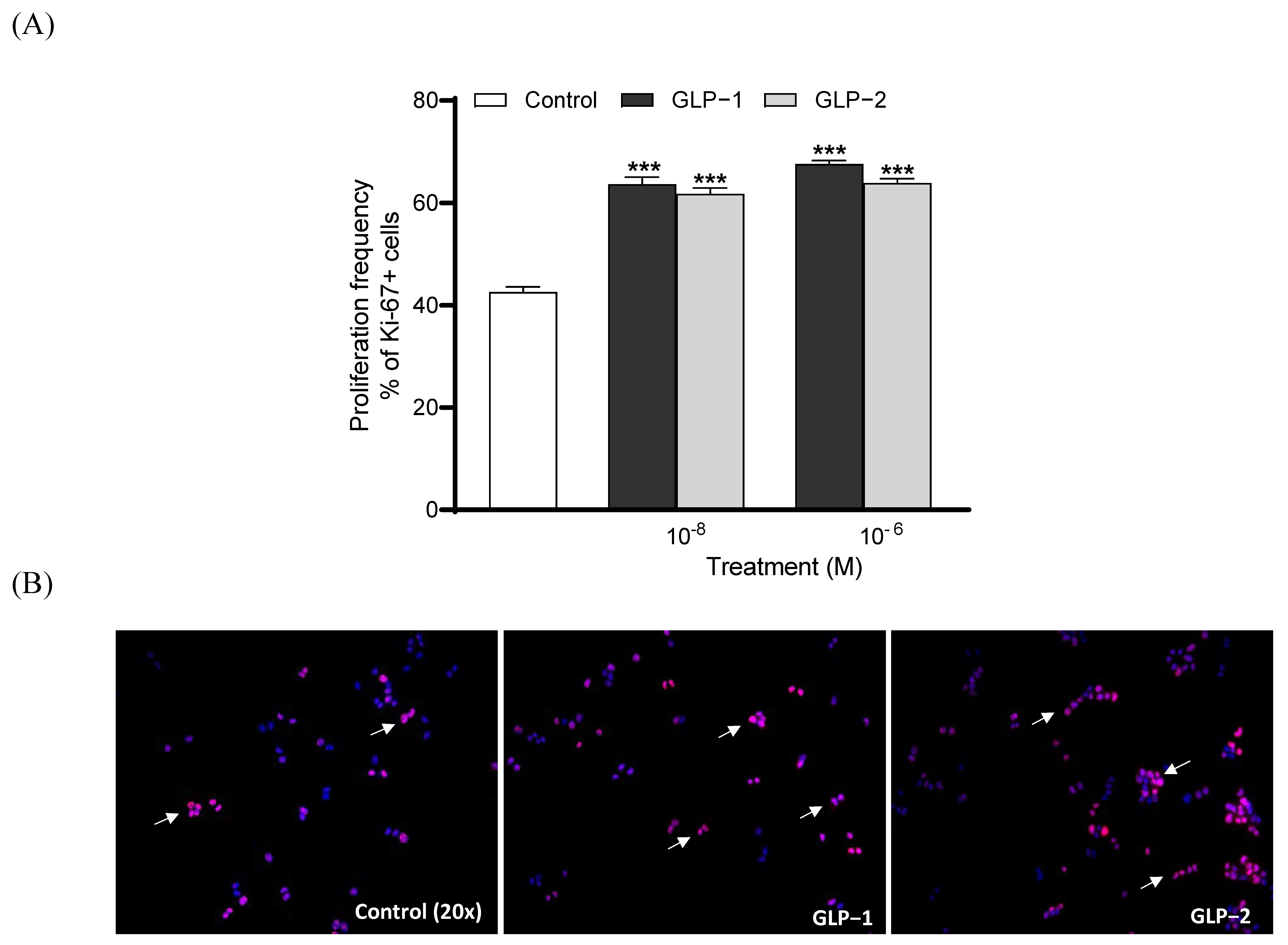 Biomolecules 14 01520 g003