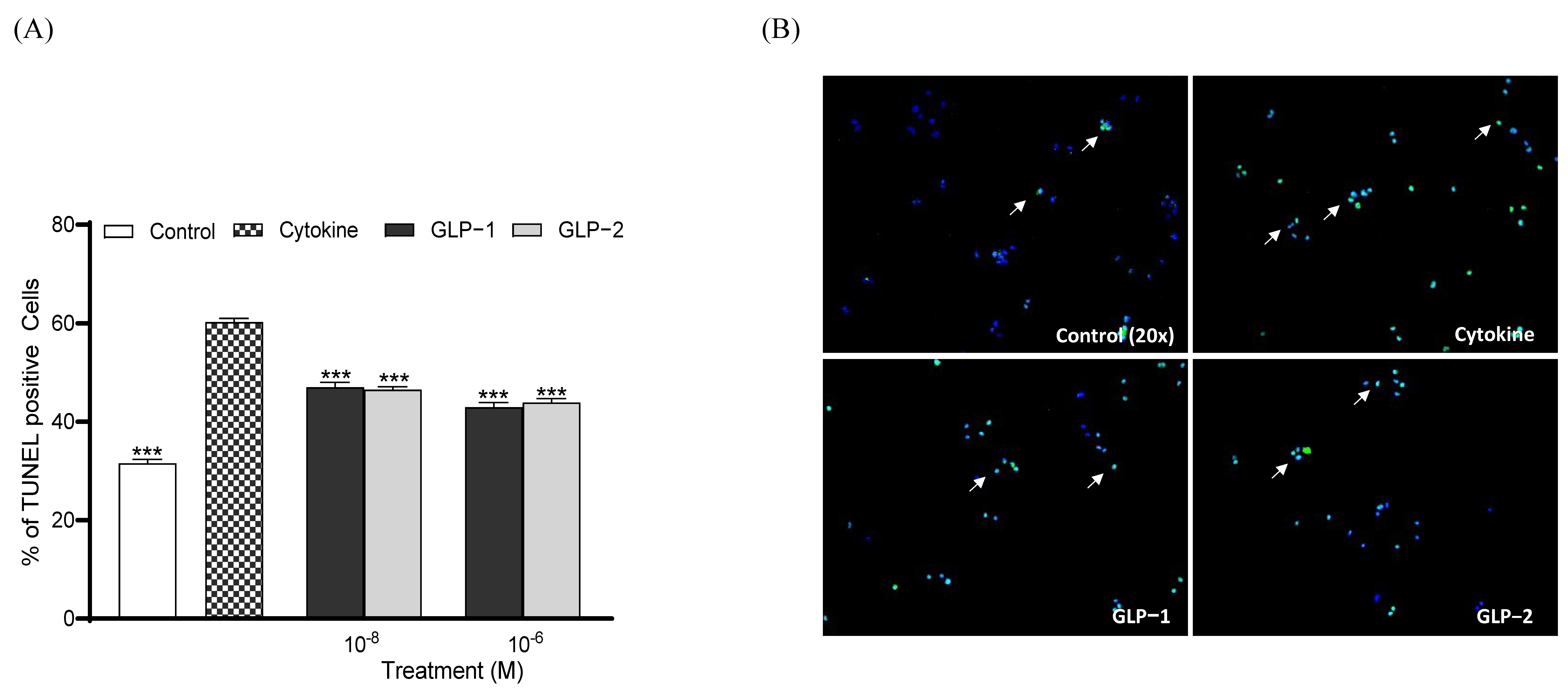 Biomolecules 14 01520 g004