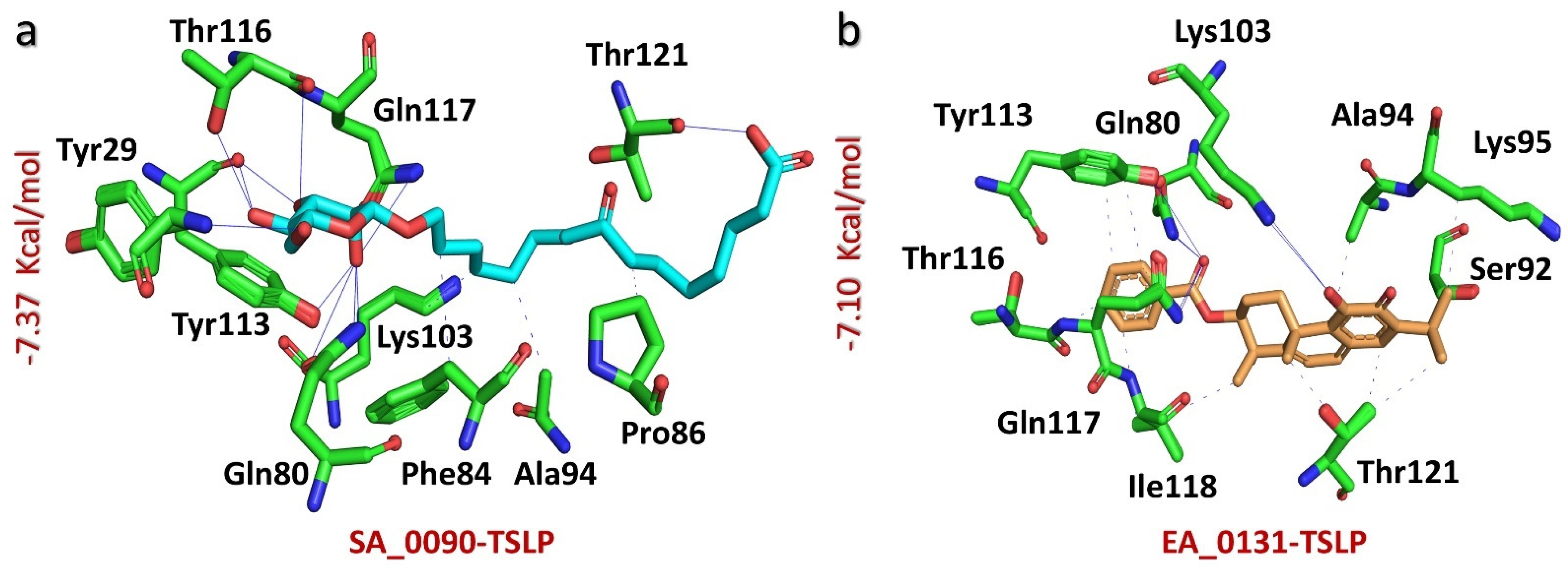 Biomolecules 14 01521 g001