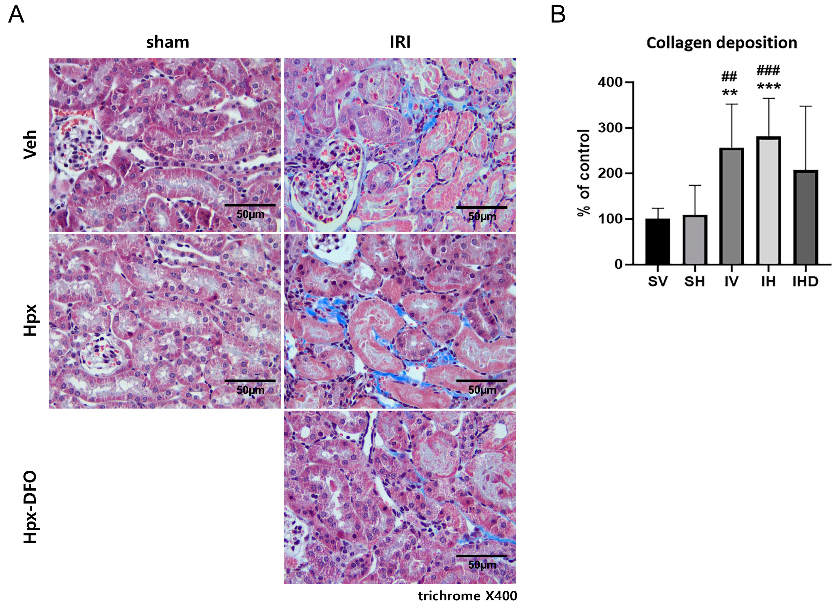 Biomolecules 14 01522 g004