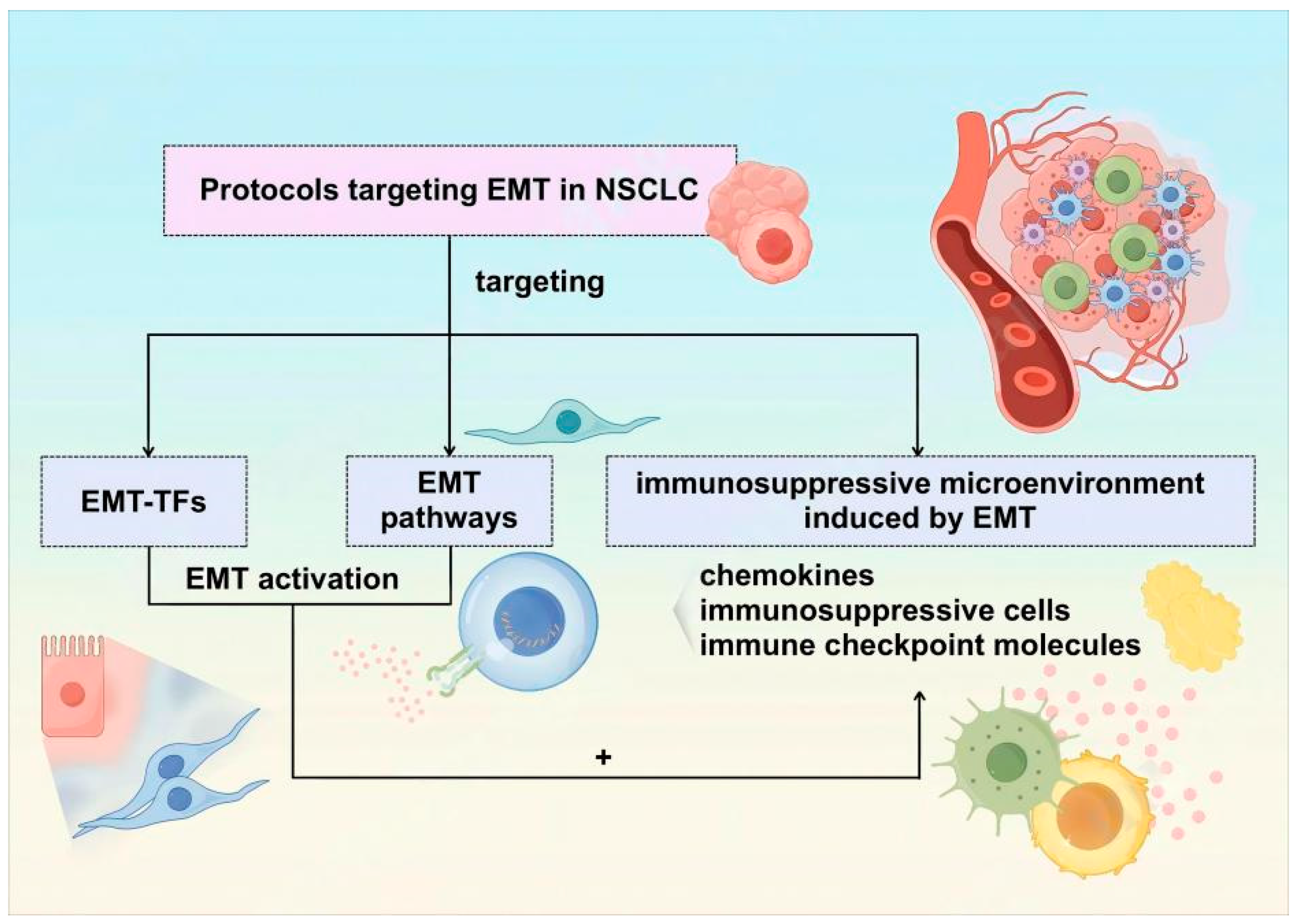 Biomolecules 14 01523 g002