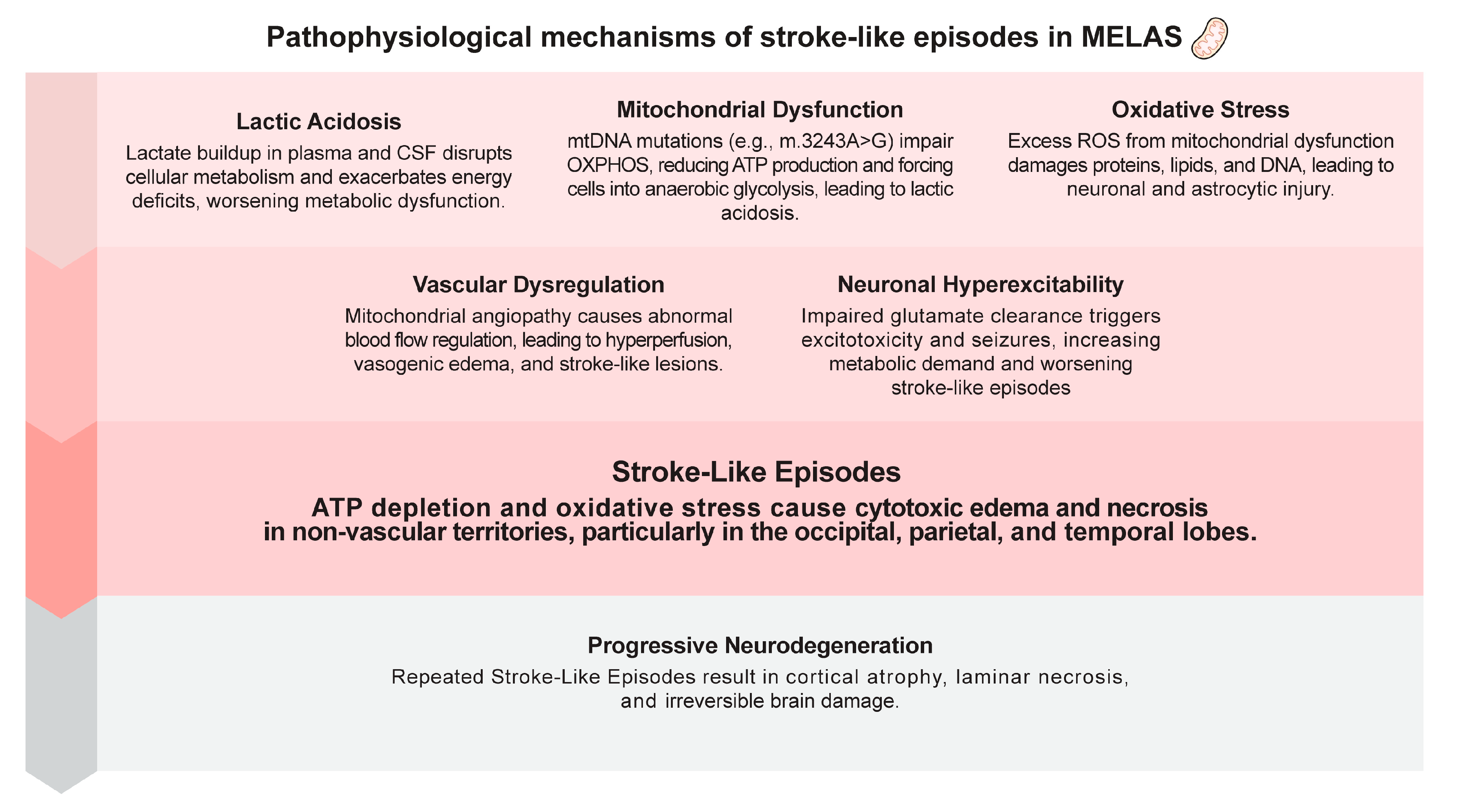 Biomolecules 14 01524 g001