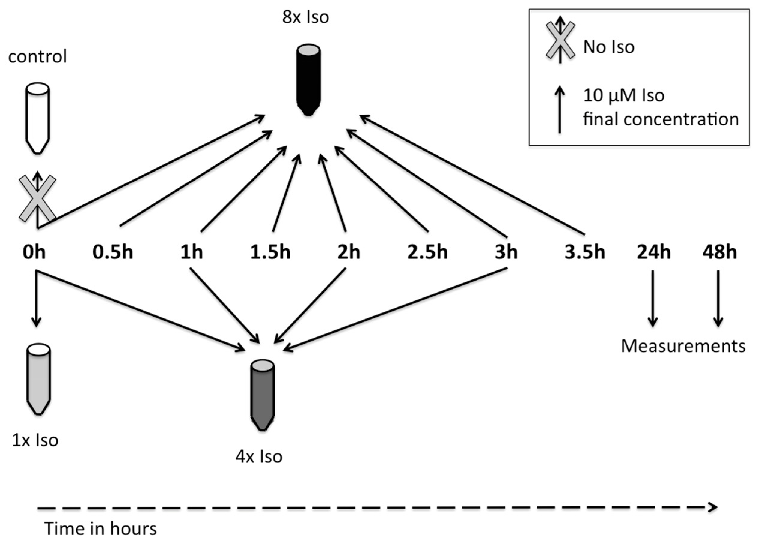 Biomolecules 14 01528 g001