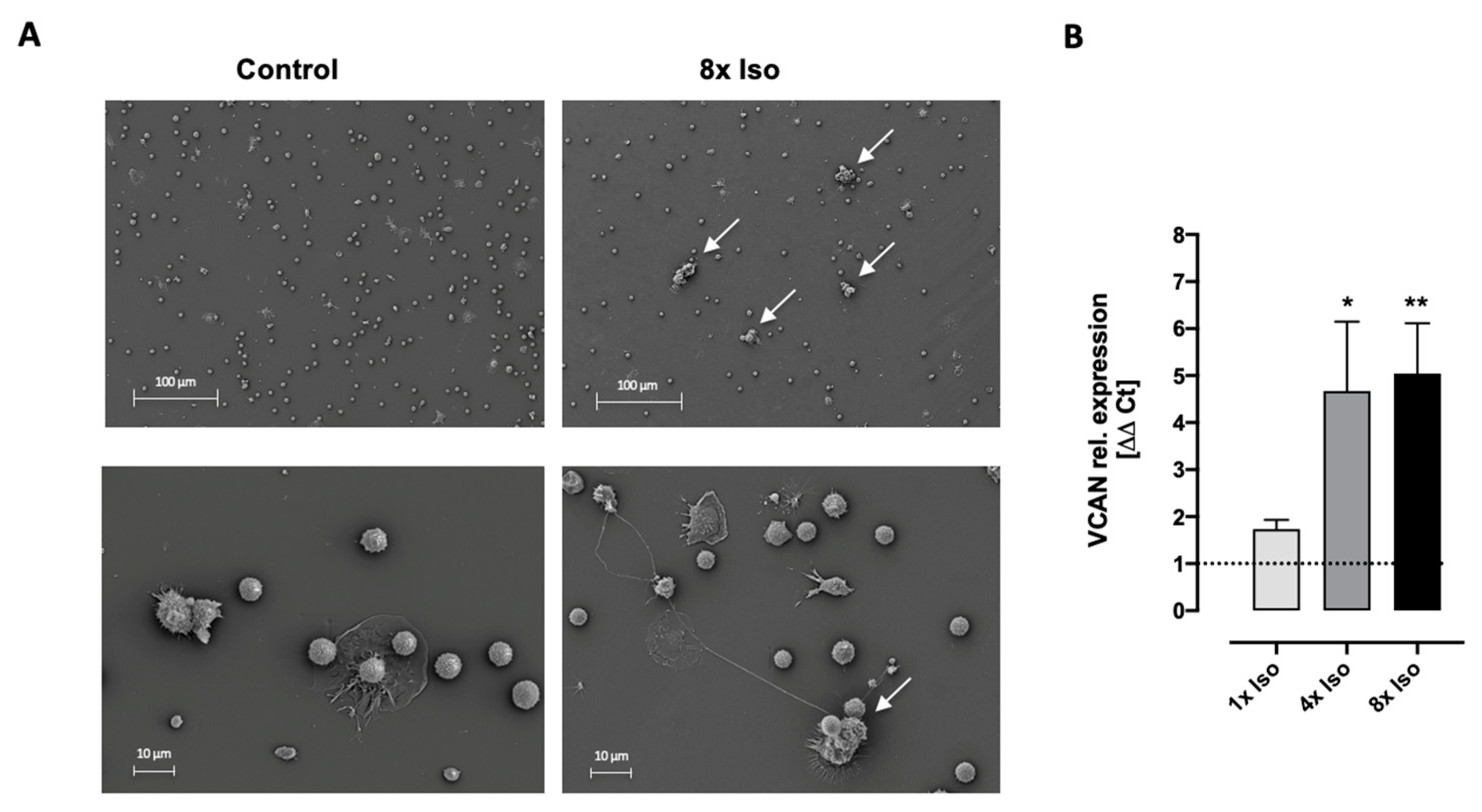 Biomolecules 14 01528 g006