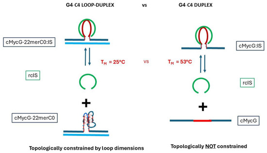 Higher-Order DNA Secondary Structures and Their Transformations