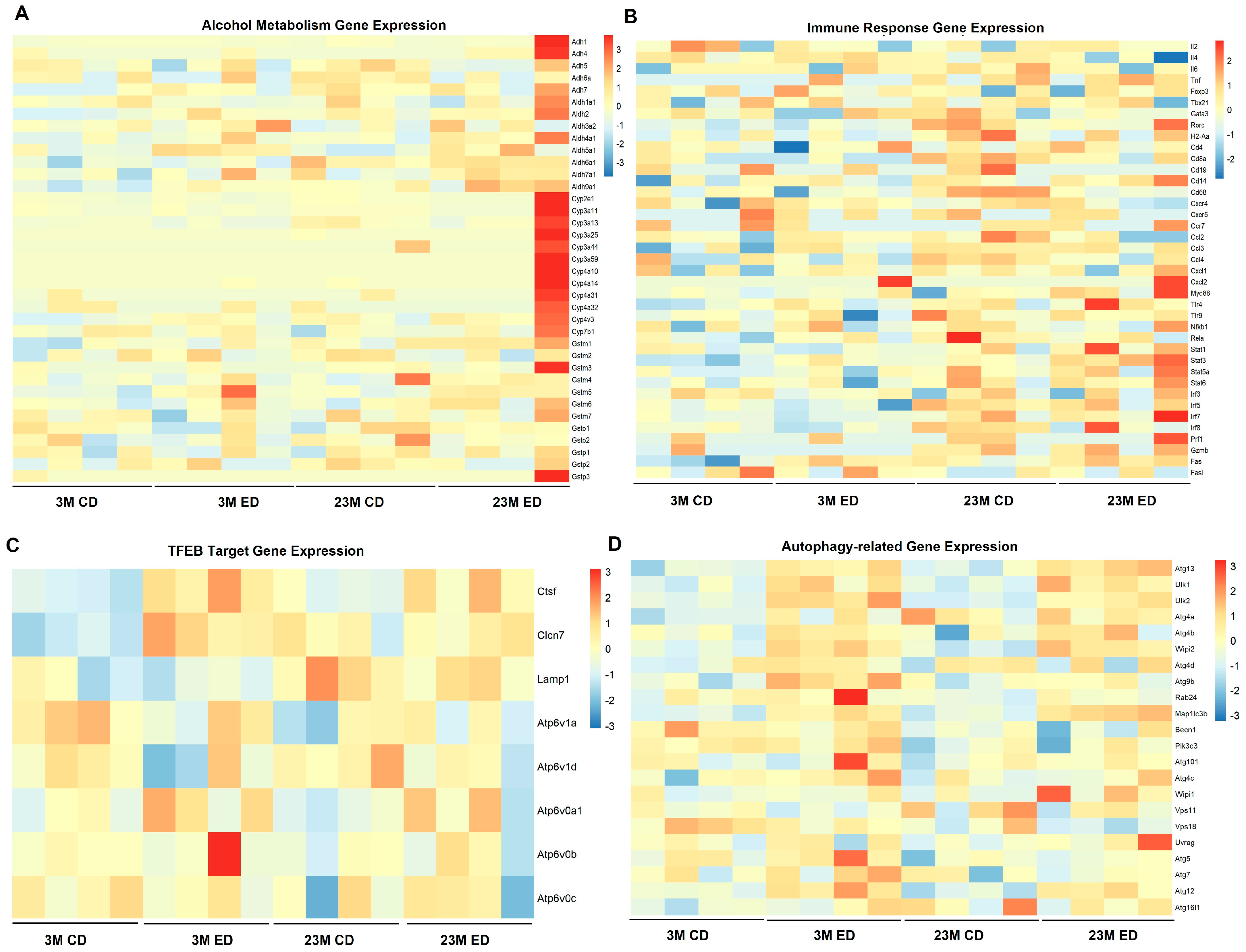 Biomolecules 14 01537 g004