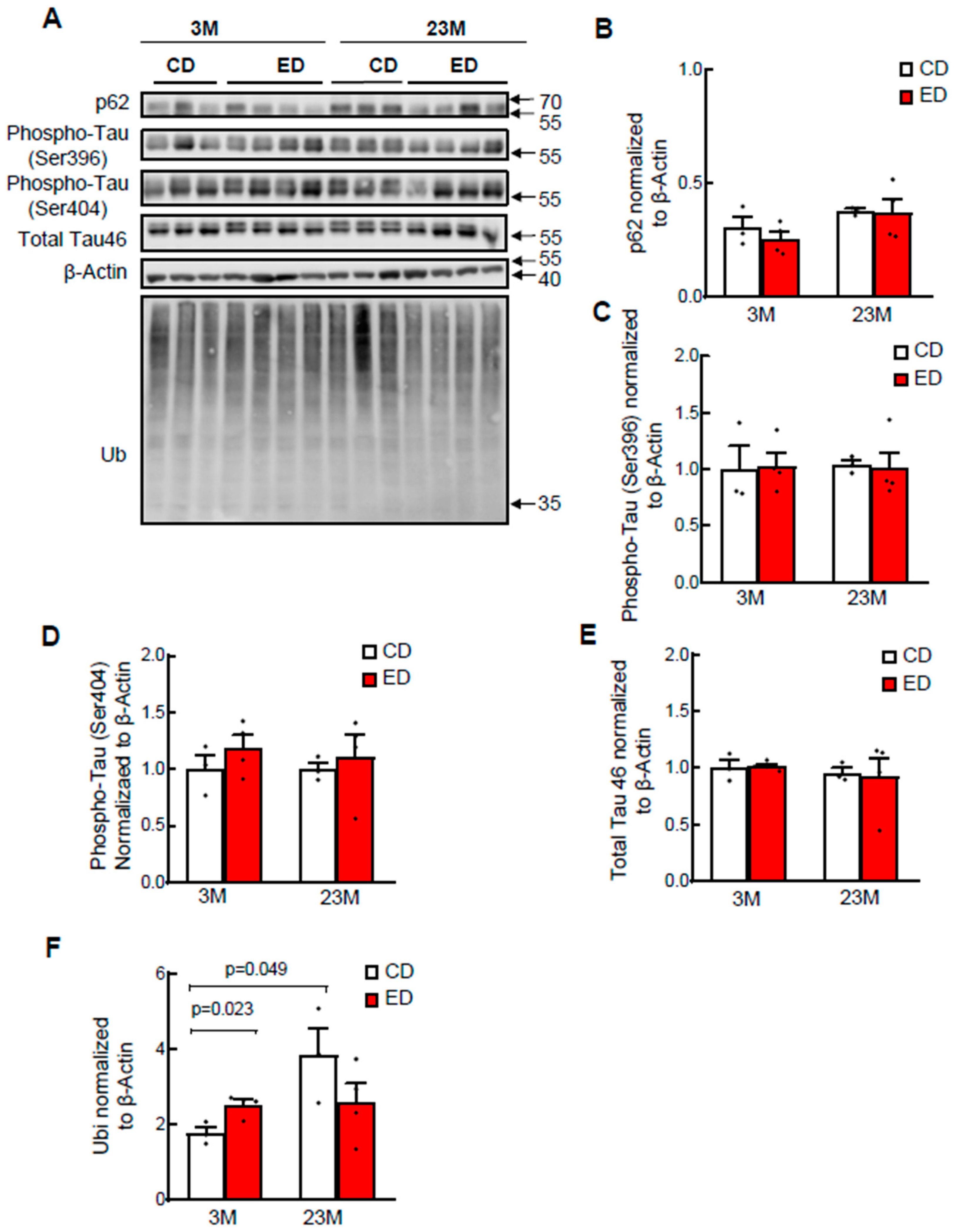 Biomolecules 14 01537 g006