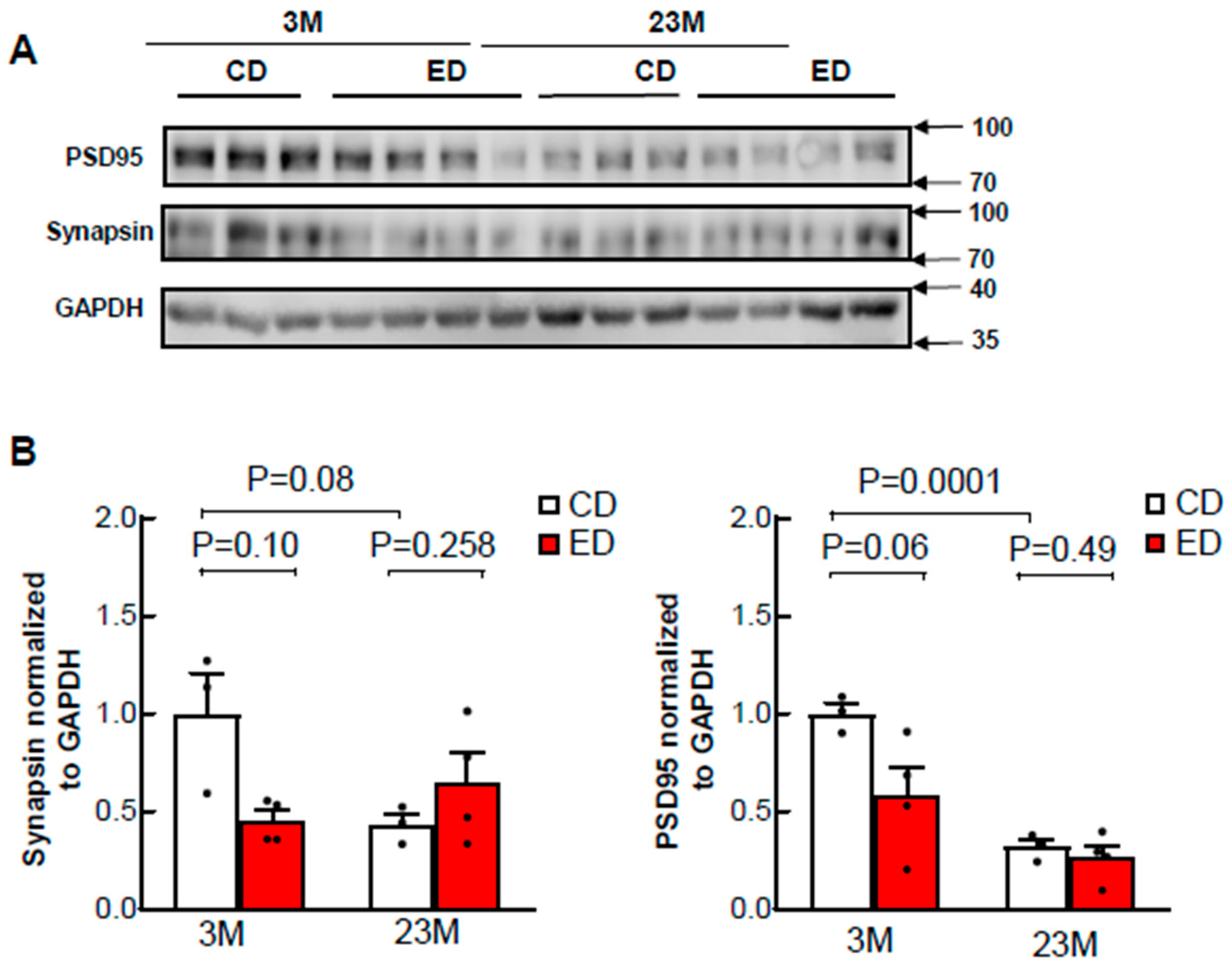 Biomolecules 14 01537 g008