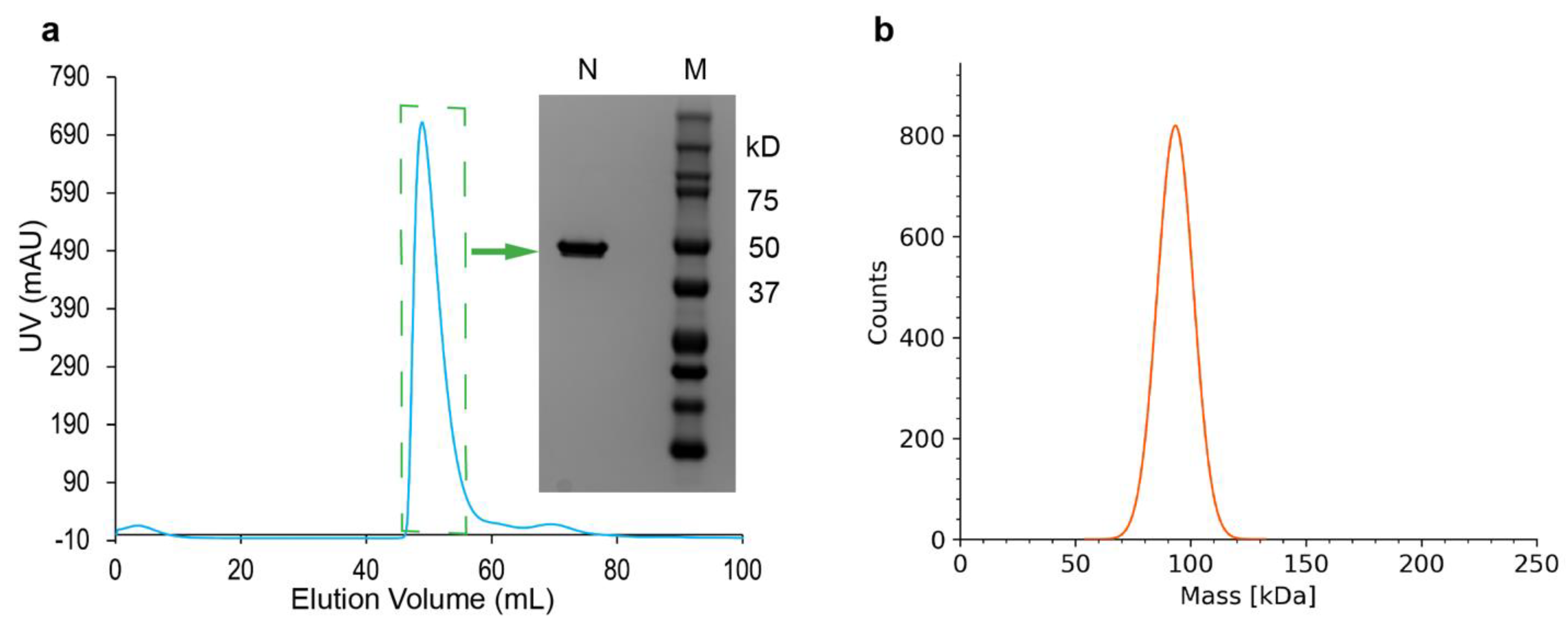 Biomolecules 14 01538 g002