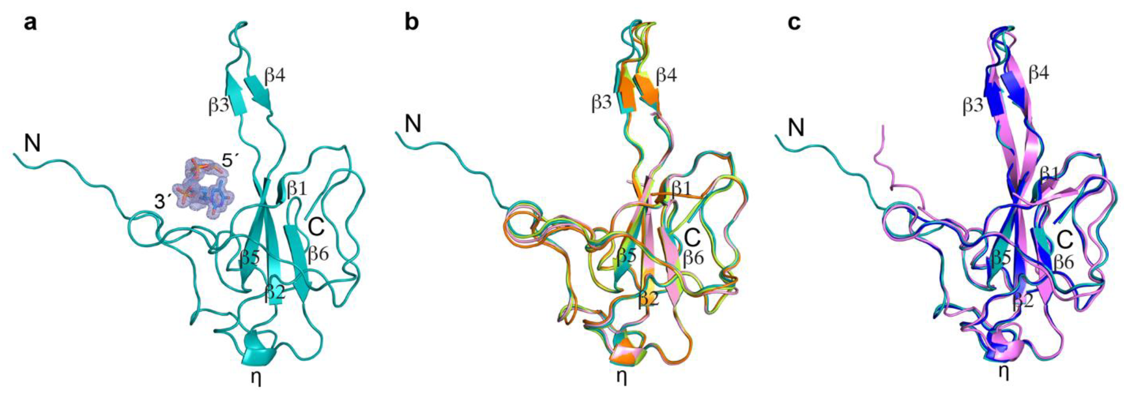 Biomolecules 14 01538 g003