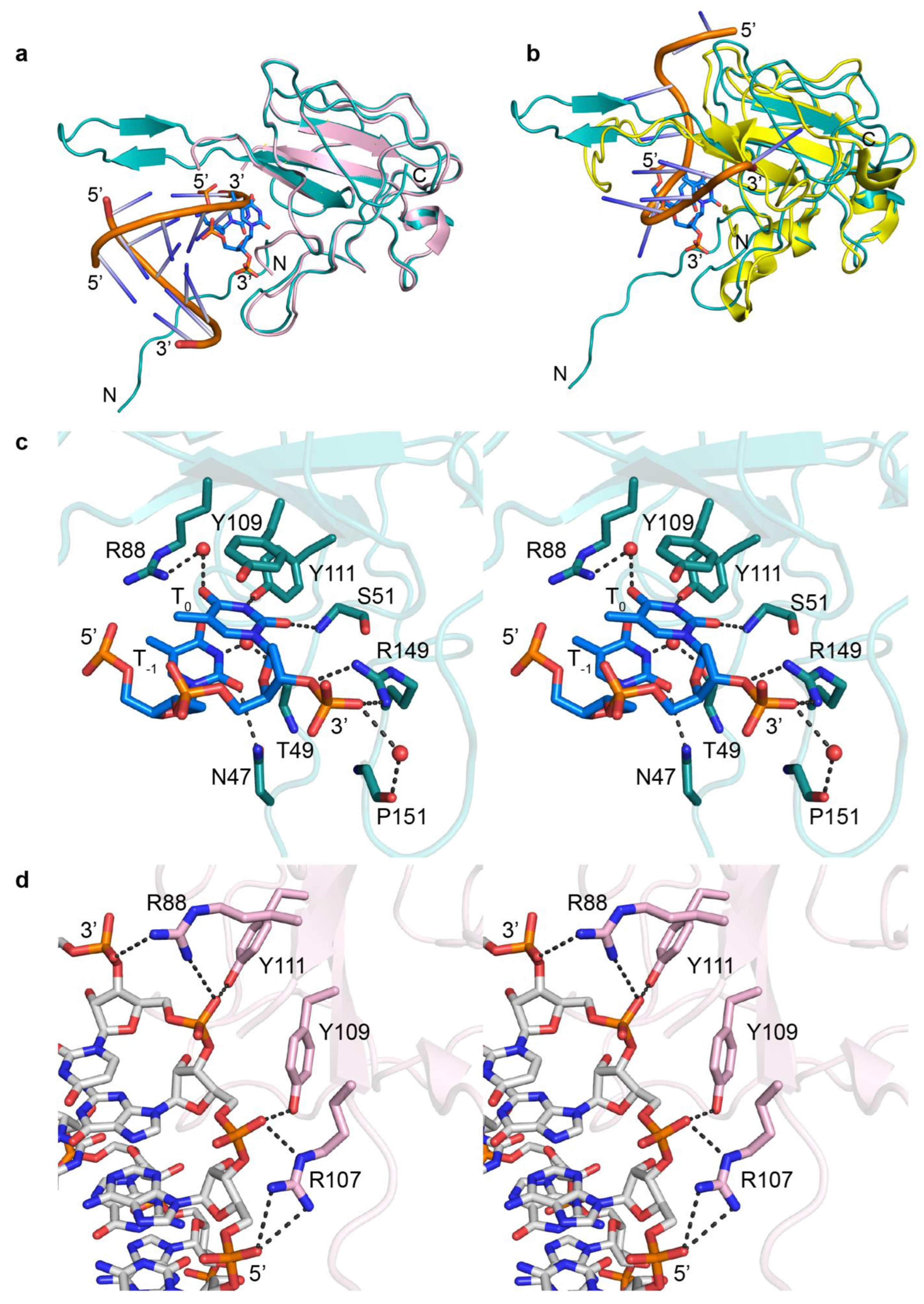 Biomolecules 14 01538 g005