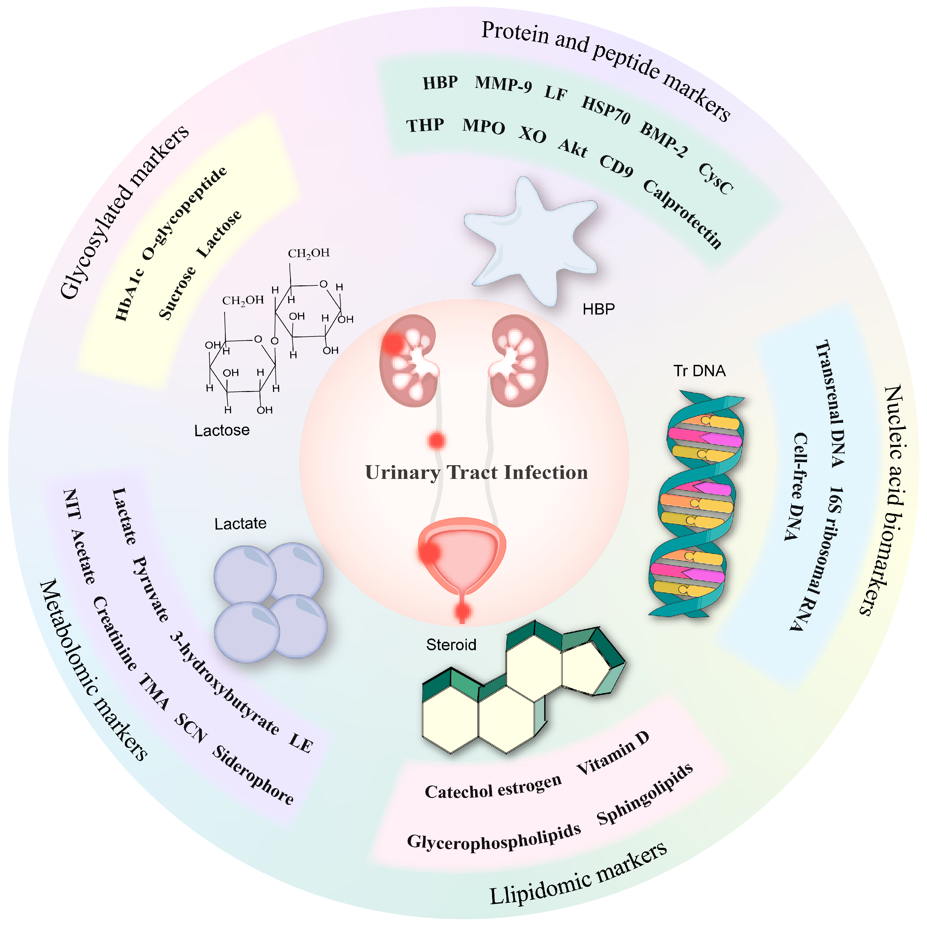 Biomolecules 14 01540 g002