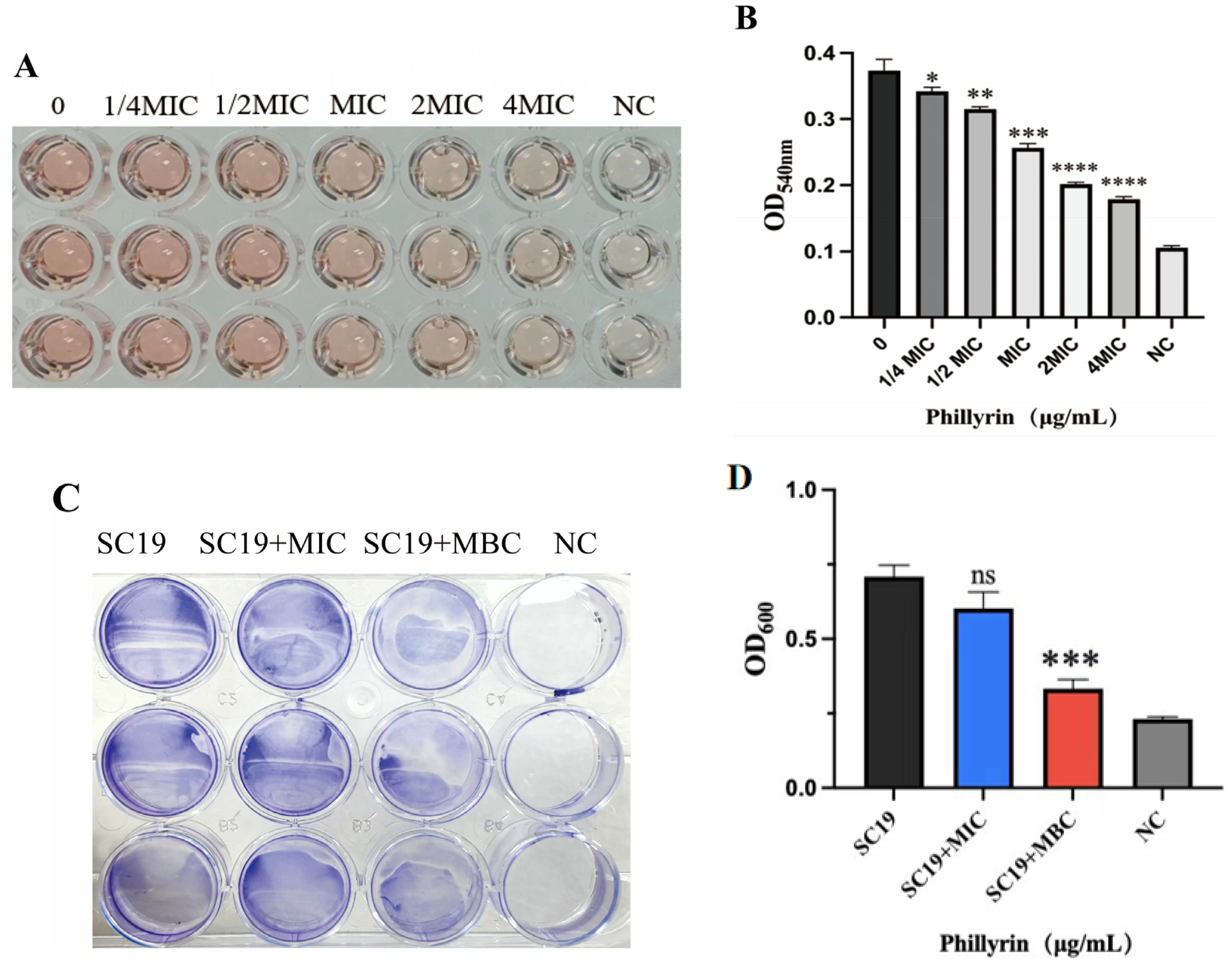 Biomolecules 14 01542 g004
