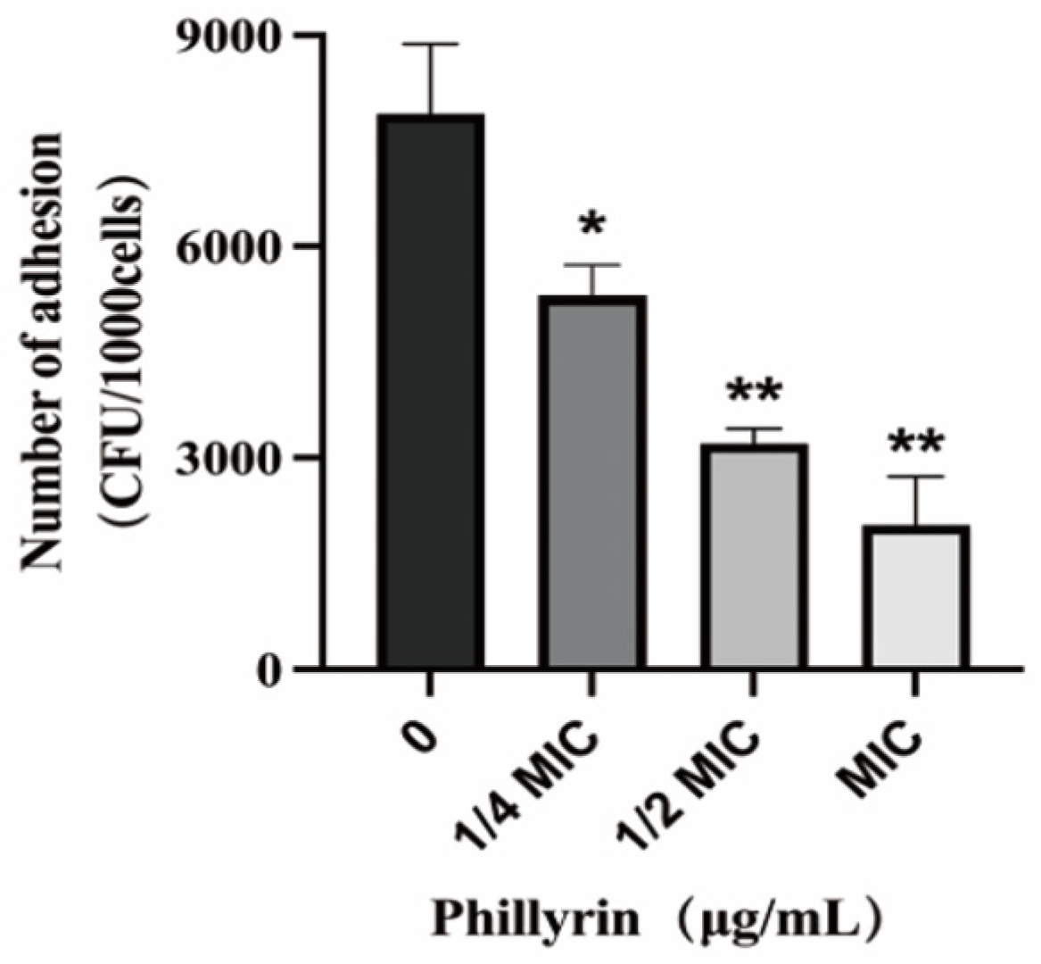 Biomolecules 14 01542 g006