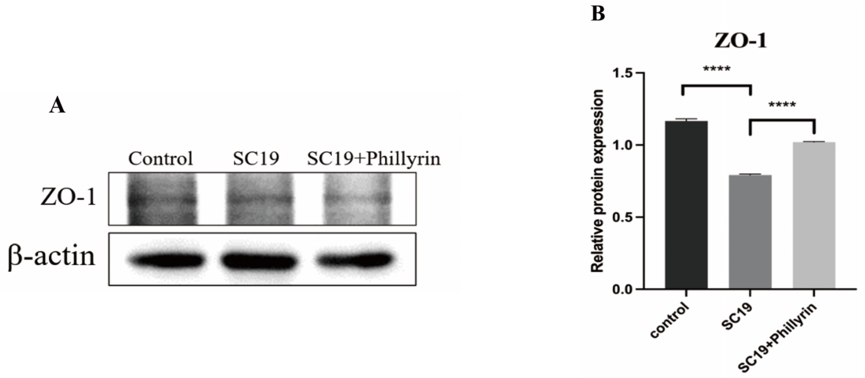 Biomolecules 14 01542 g007
