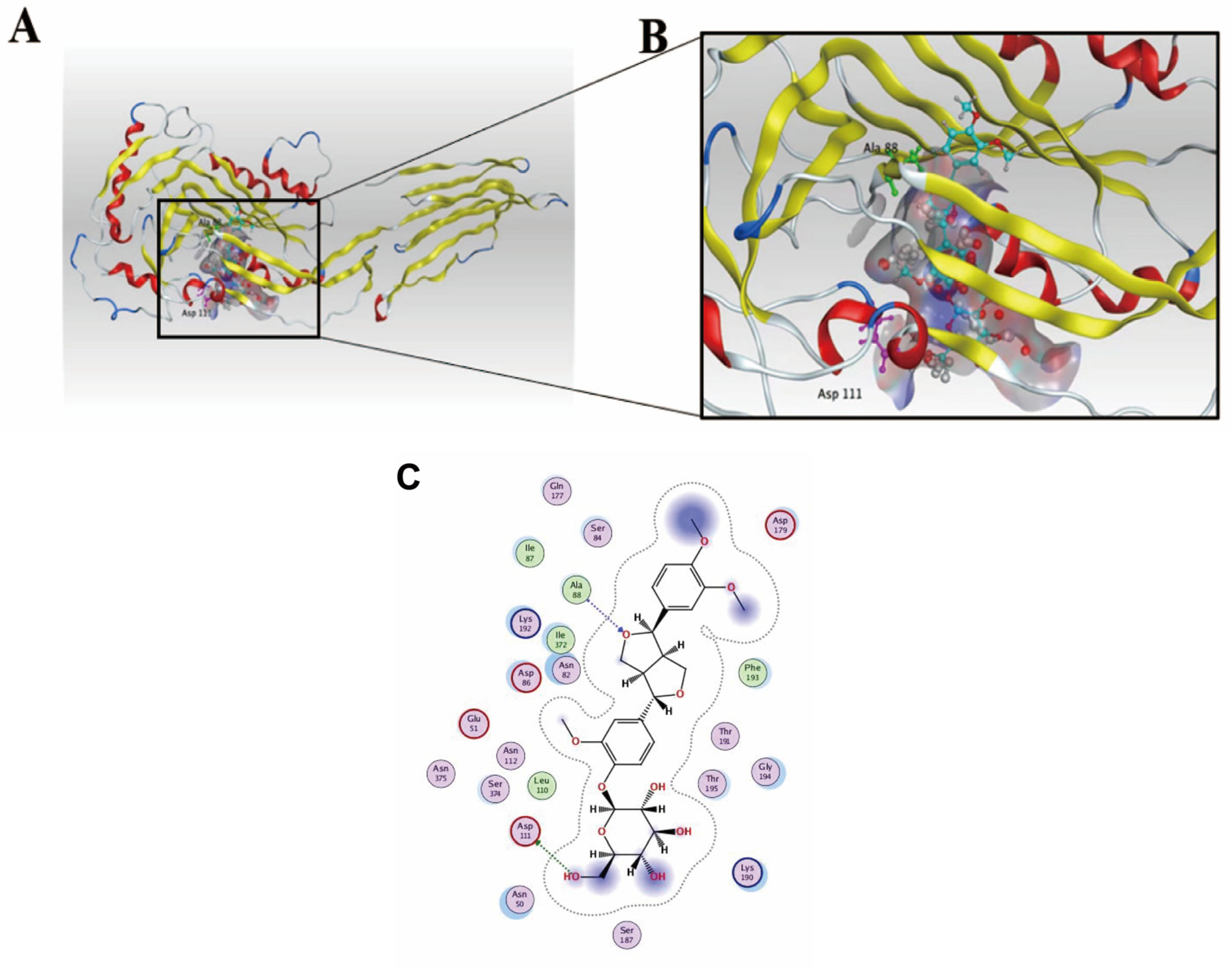 Biomolecules 14 01542 g010