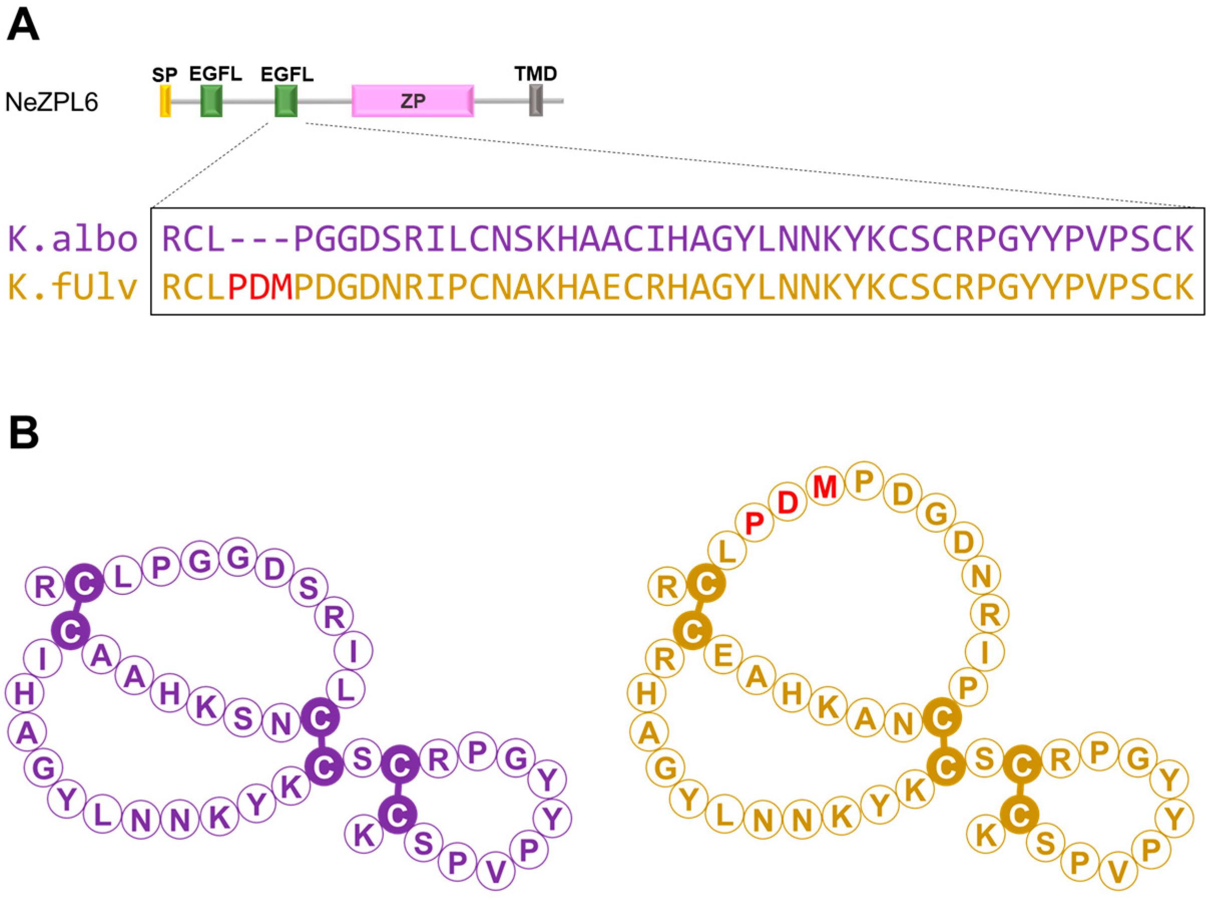 Biomolecules 14 01545 g003 Biomolecules 14 01545 g003