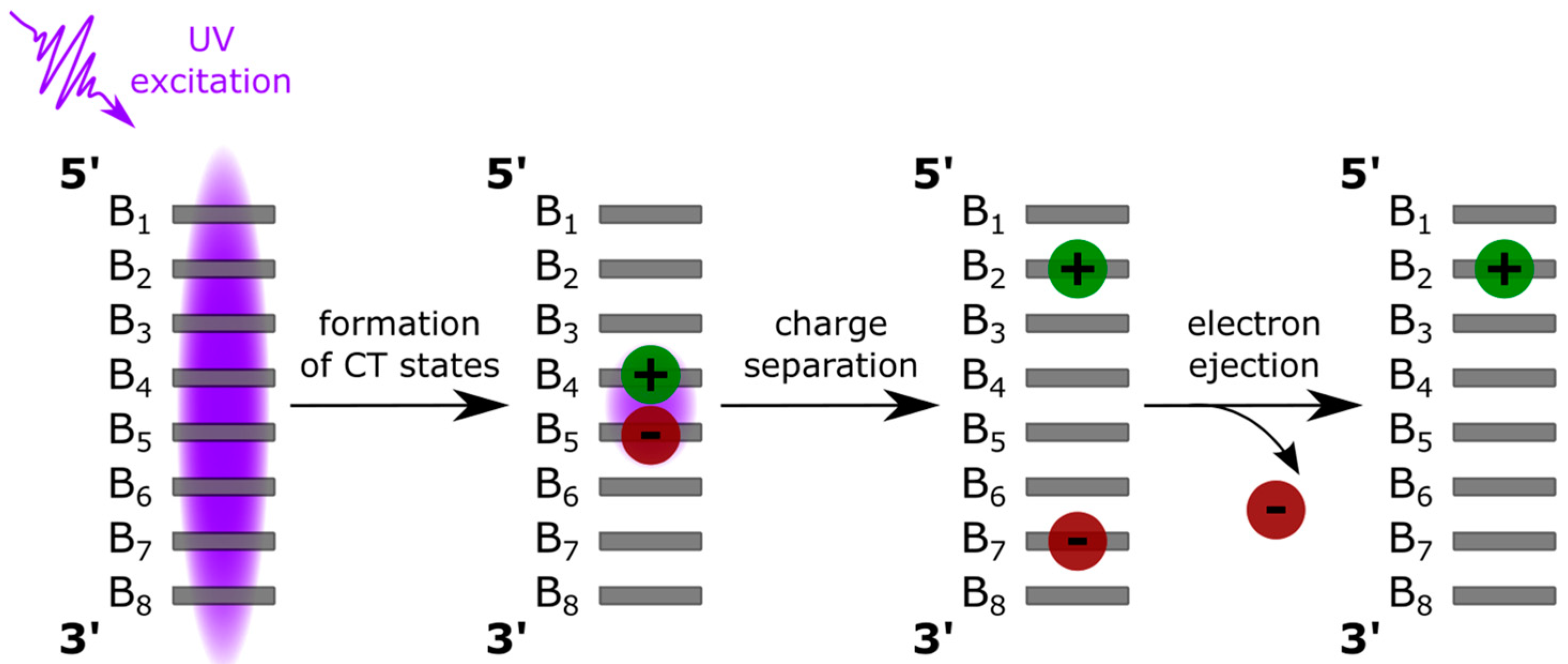 Biomolecules 14 01548 g001