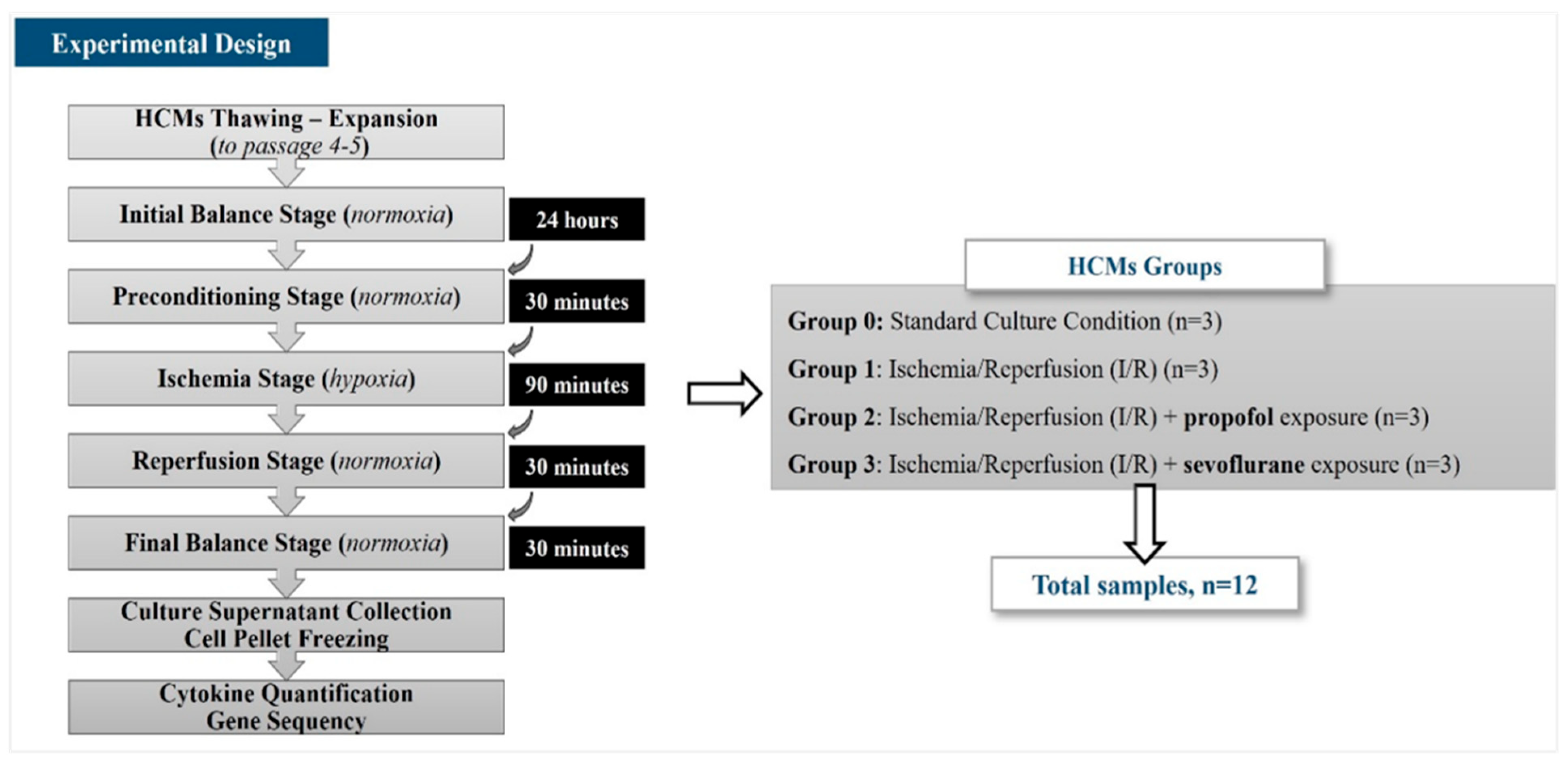 Biomolecules 14 01554 g001 Biomolecules 14 01554 g001