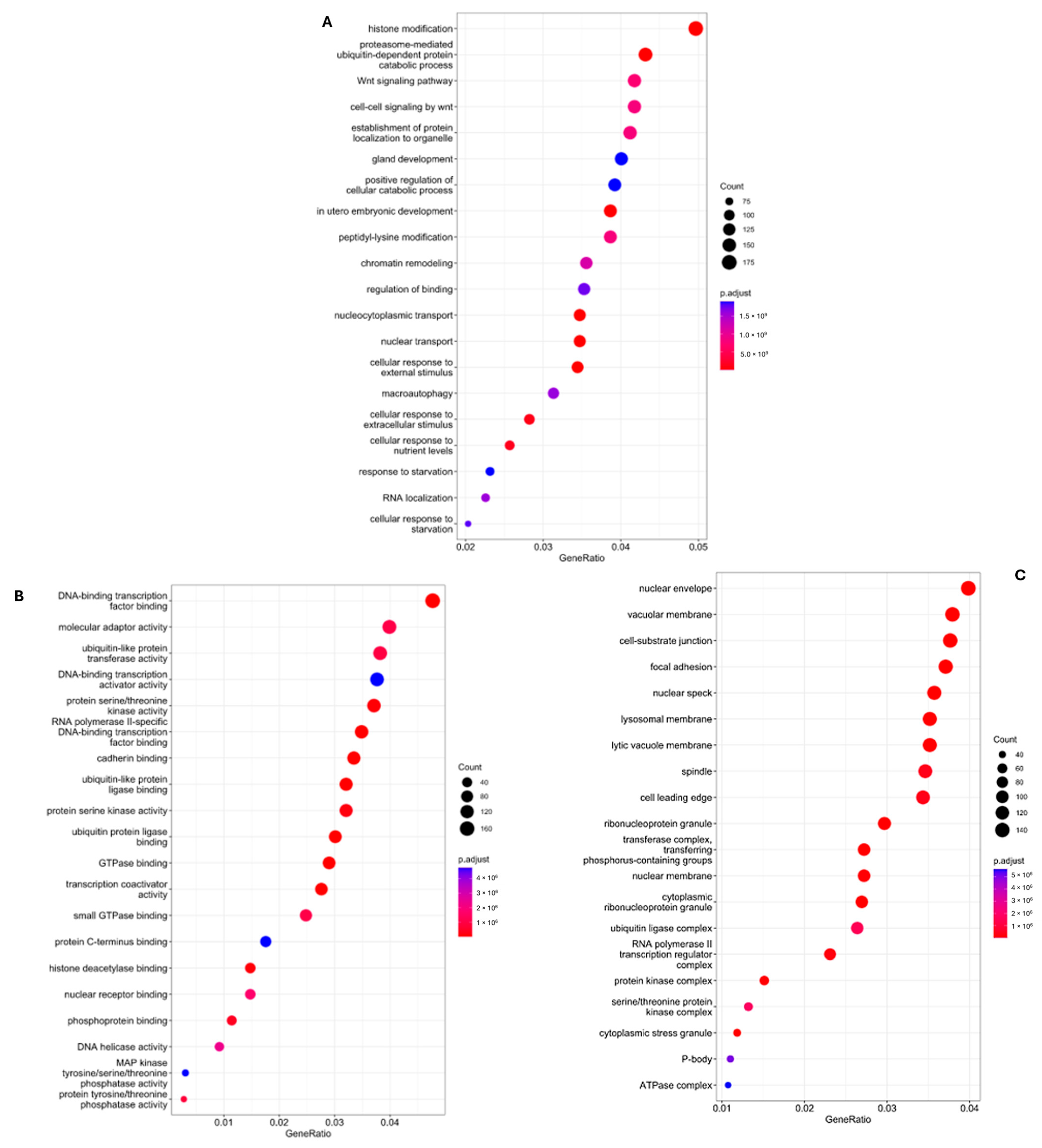 Biomolecules 14 01554 g003 Biomolecules 14 01554 g003