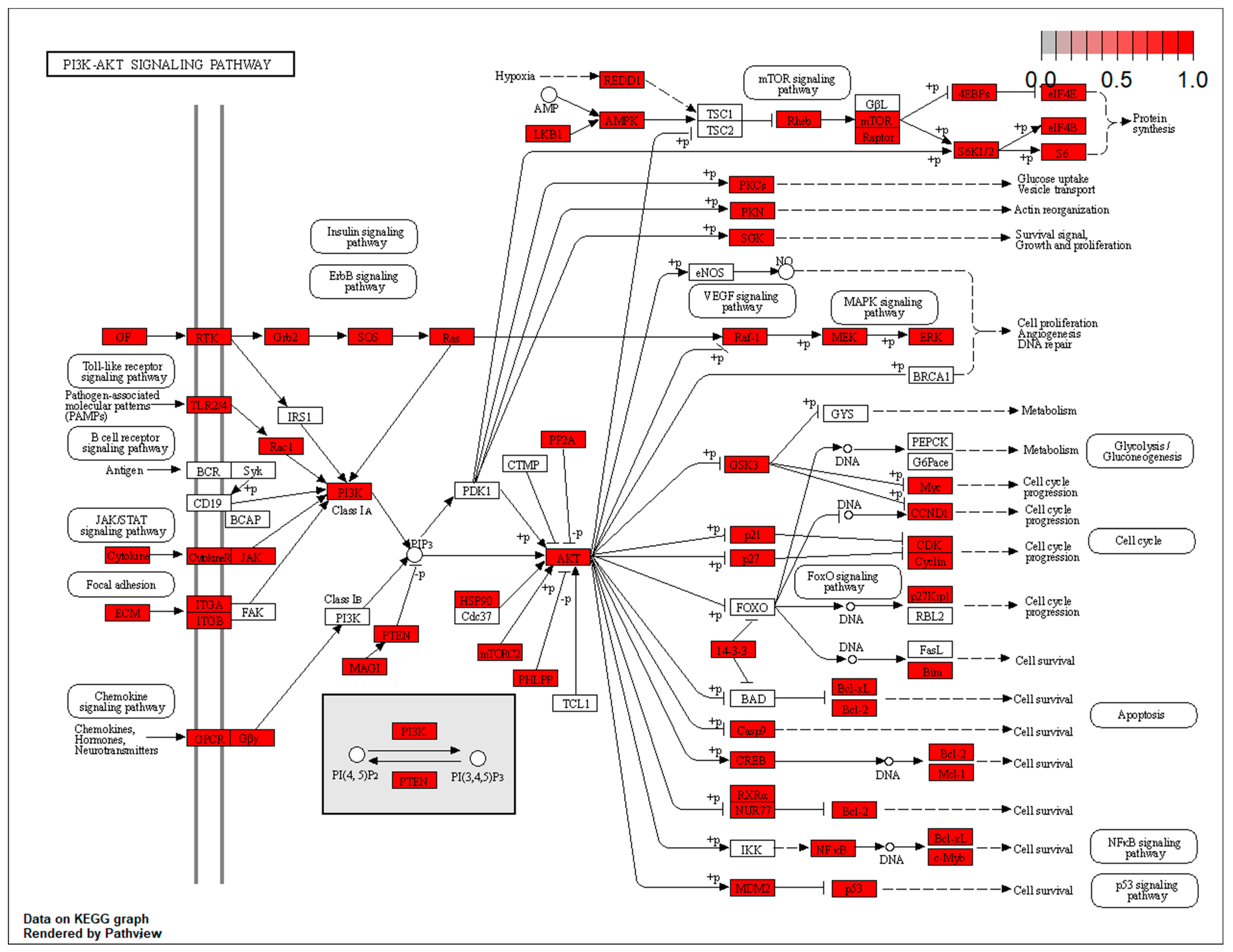 Biomolecules 14 01554 g004 Biomolecules 14 01554 g004