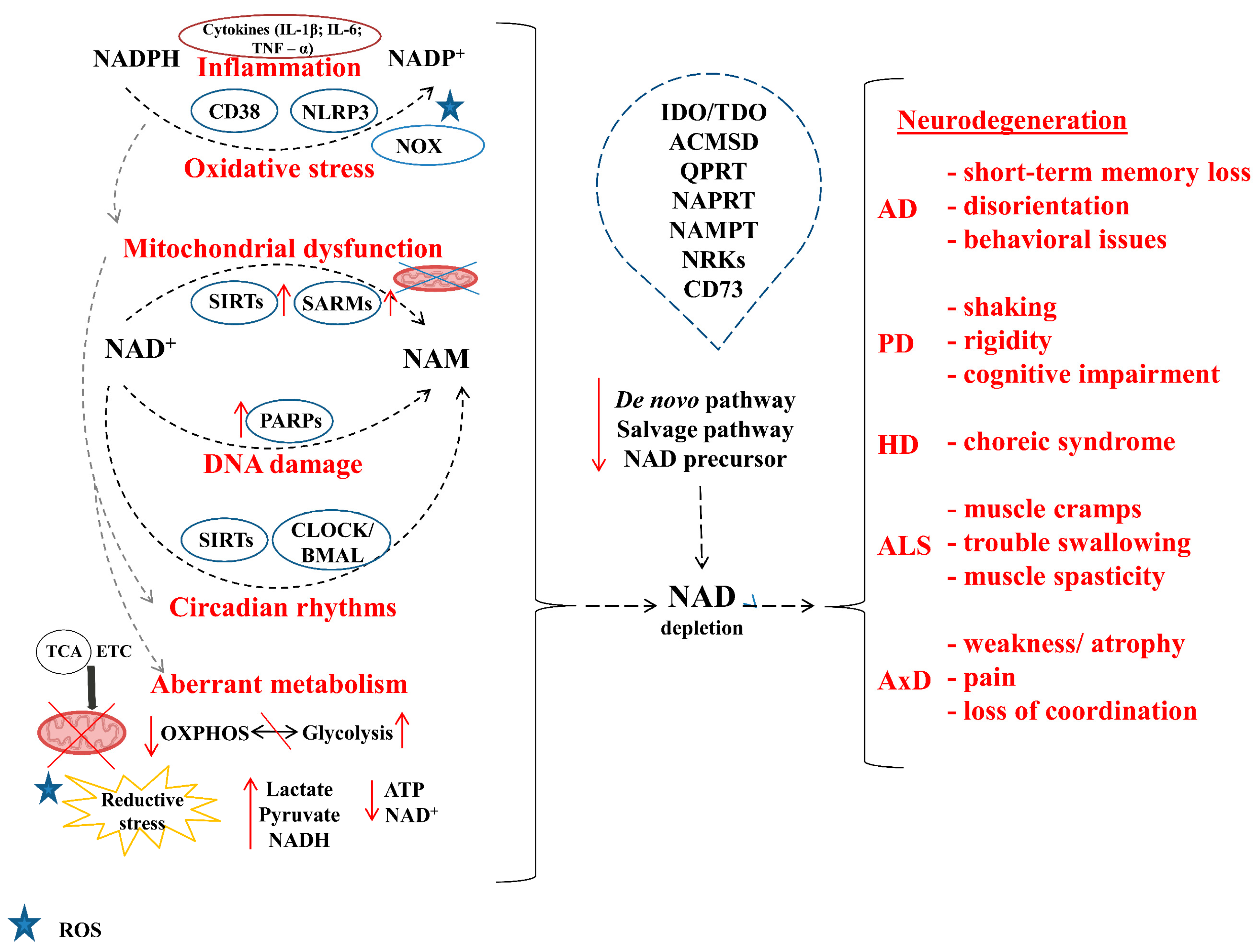 Biomolecules 14 01556 g003