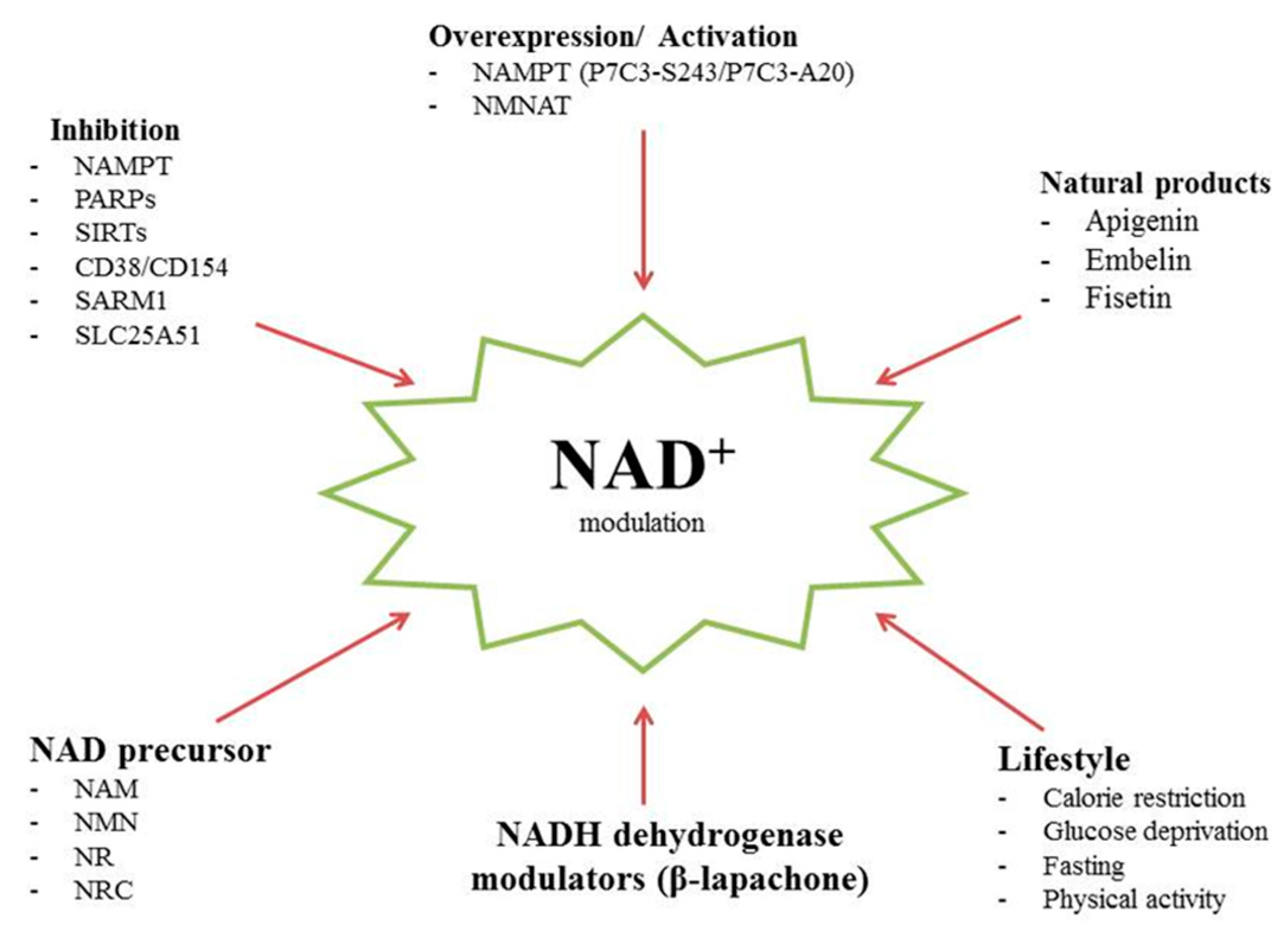 Biomolecules 14 01556 g004