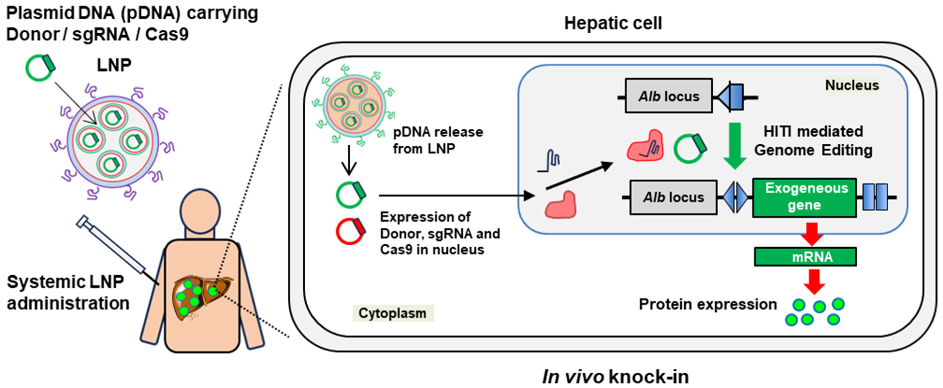 Biomolecules 14 01558 g001