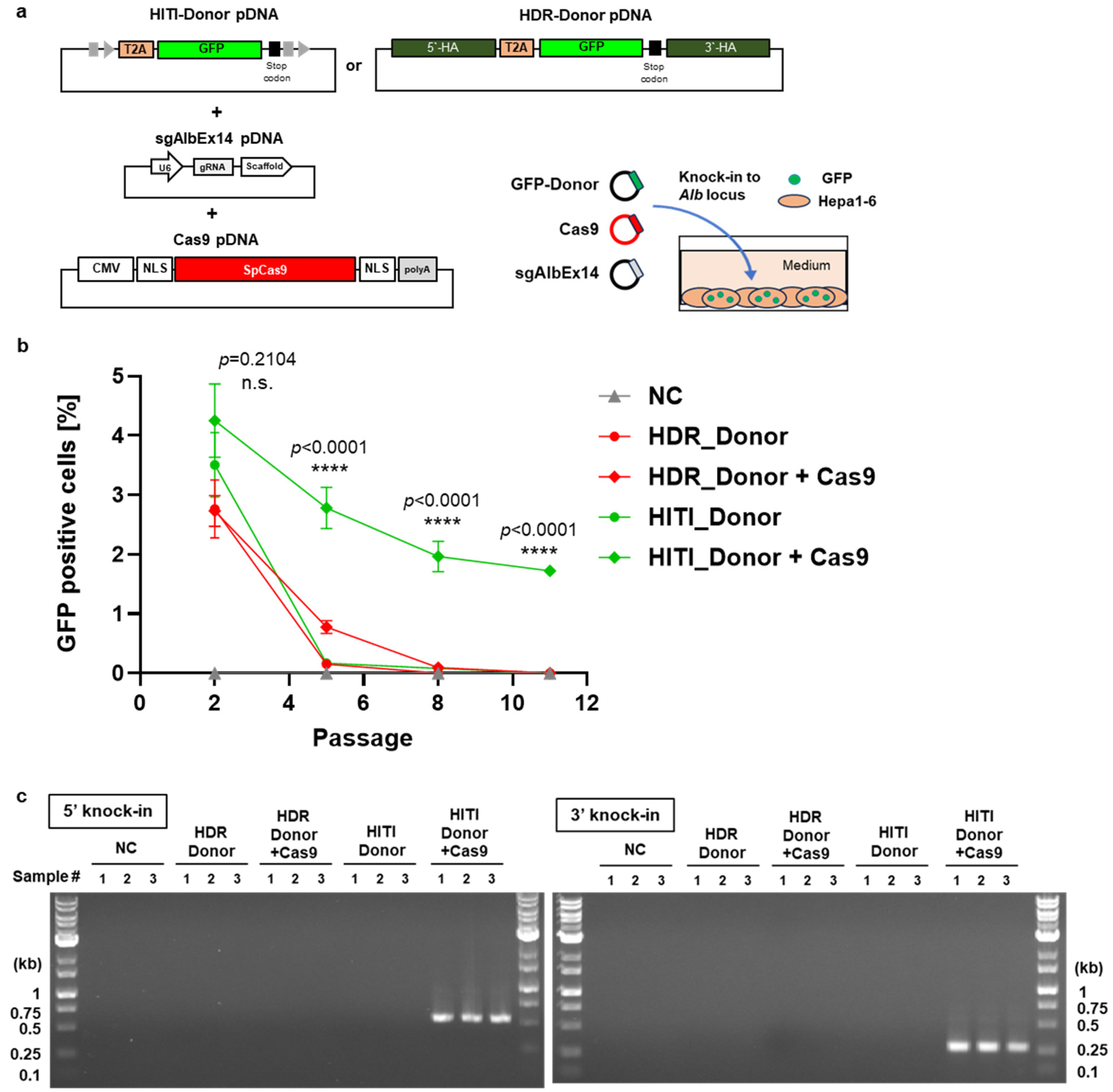 Biomolecules 14 01558 g003