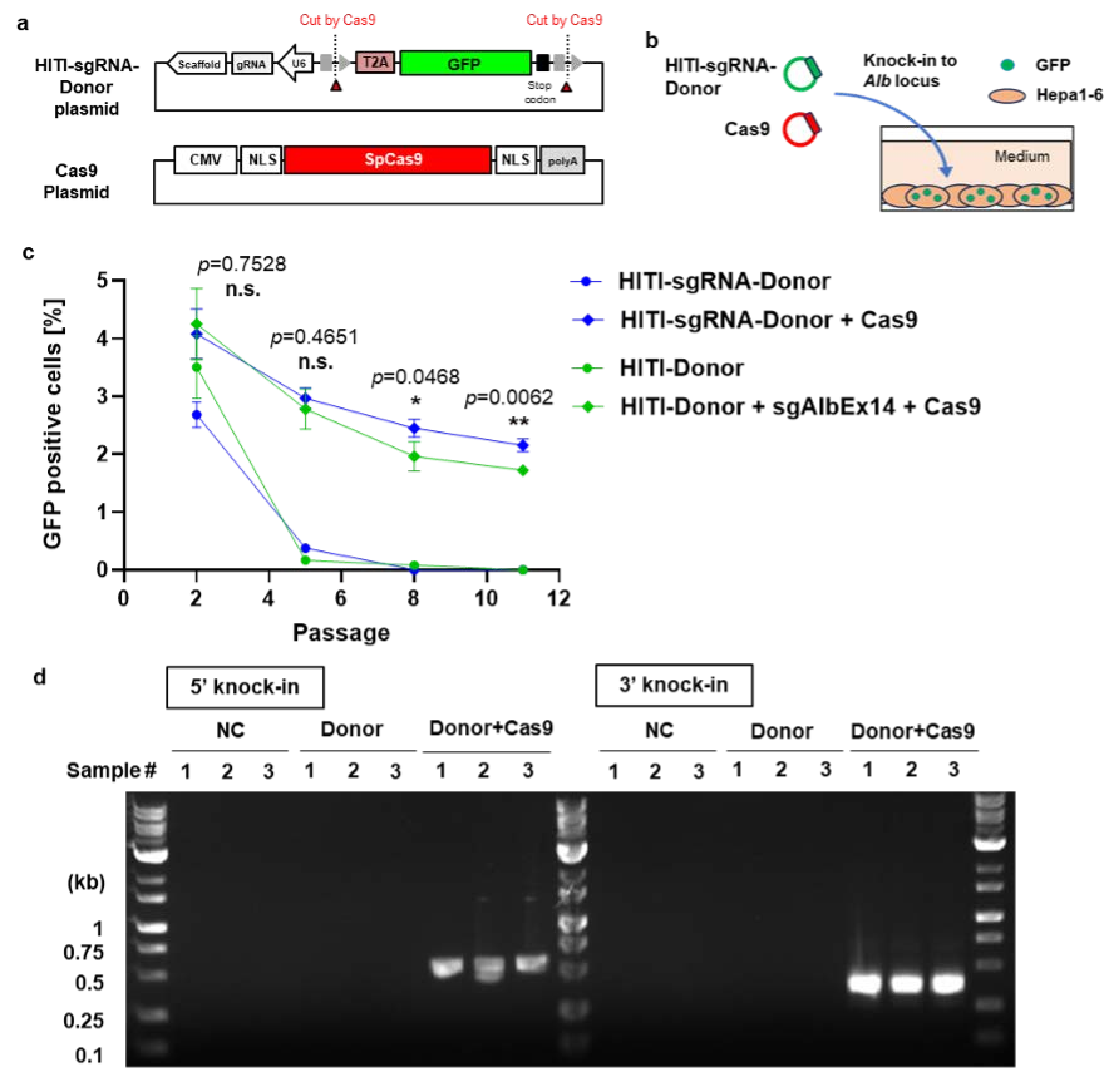 Biomolecules 14 01558 g004
