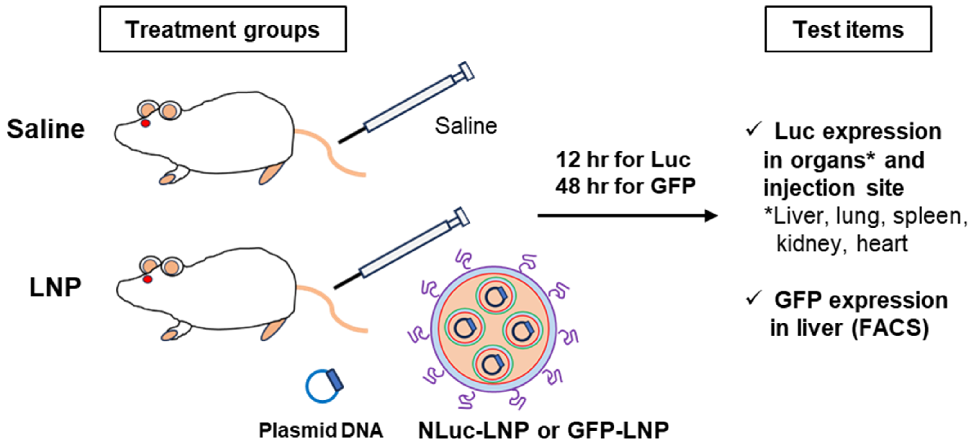 Biomolecules 14 01558 g005