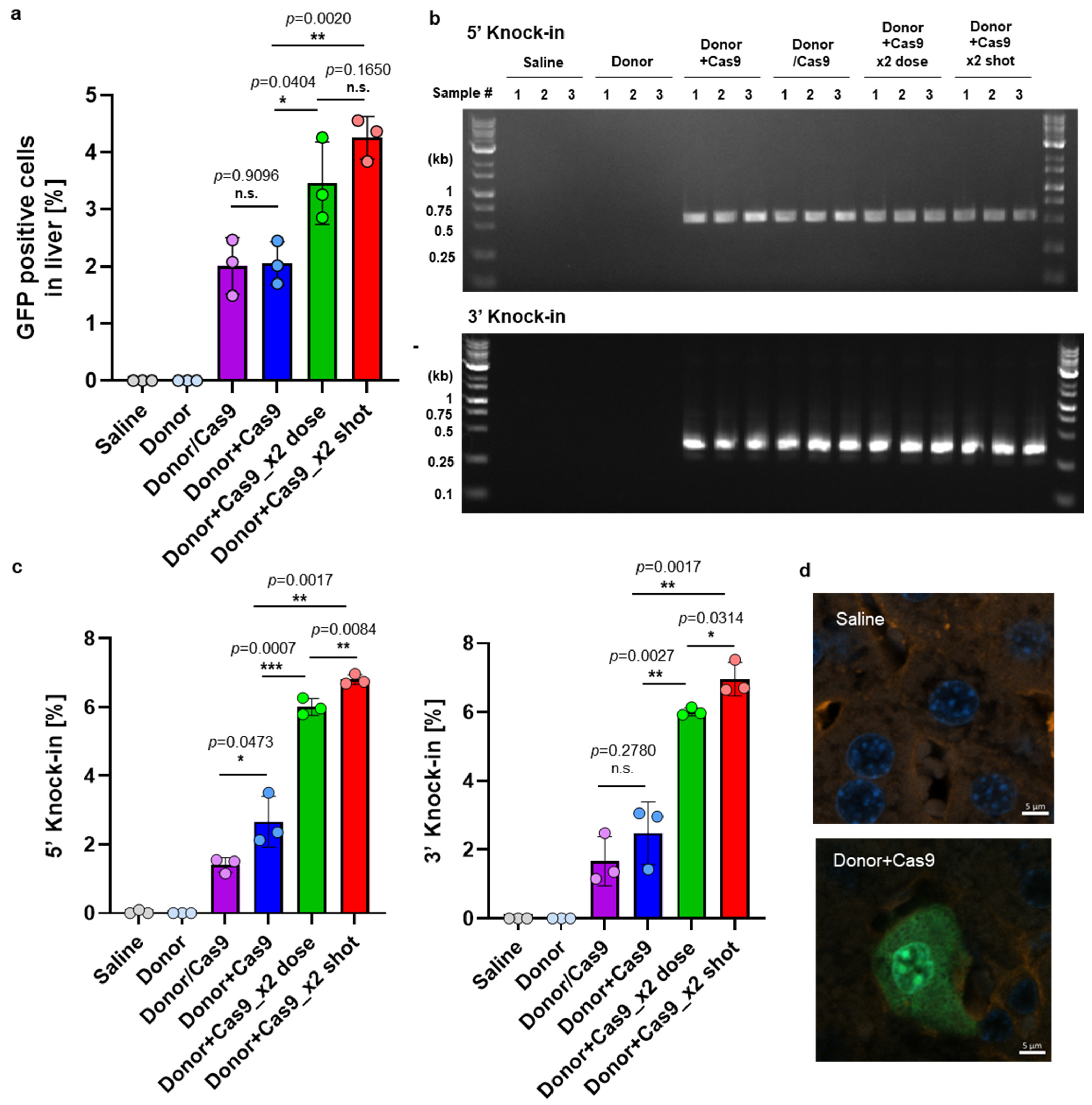 Biomolecules 14 01558 g009