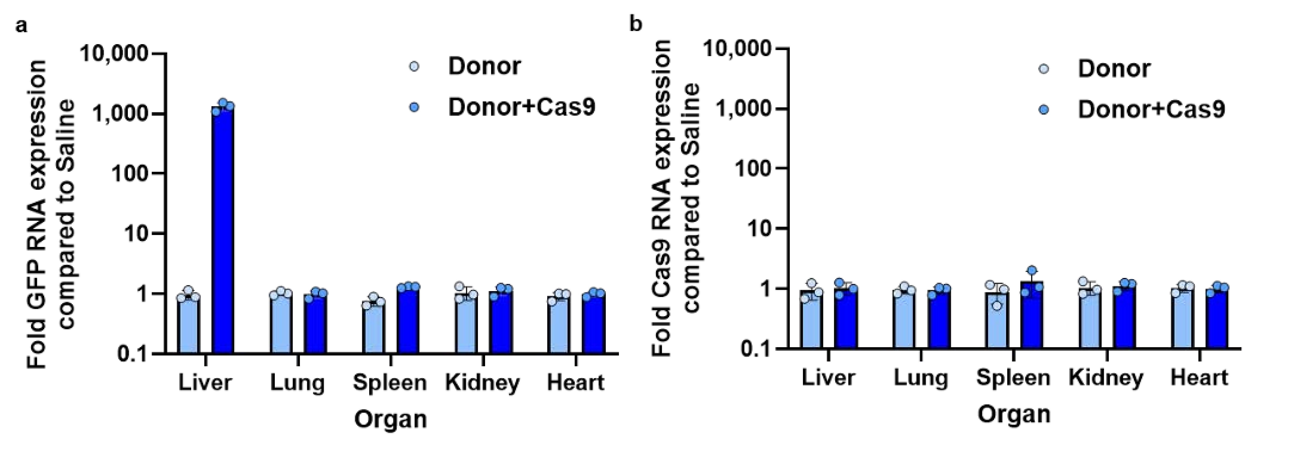 Biomolecules 14 01558 g010