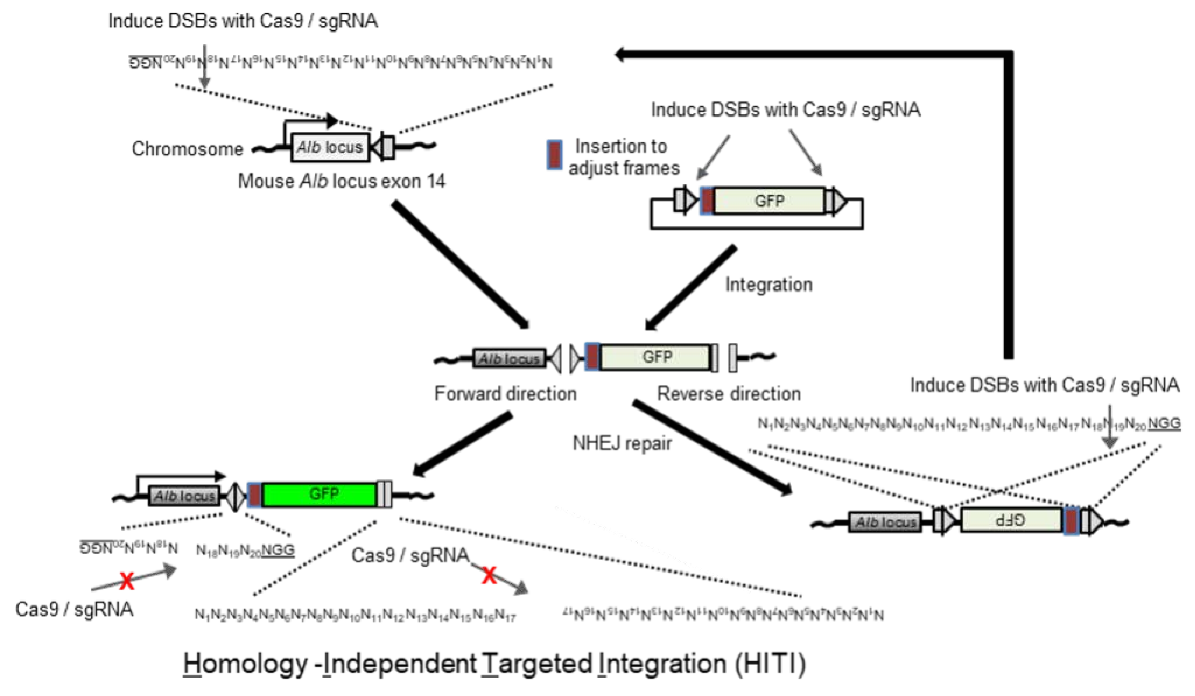 Biomolecules 14 01558 g0a1