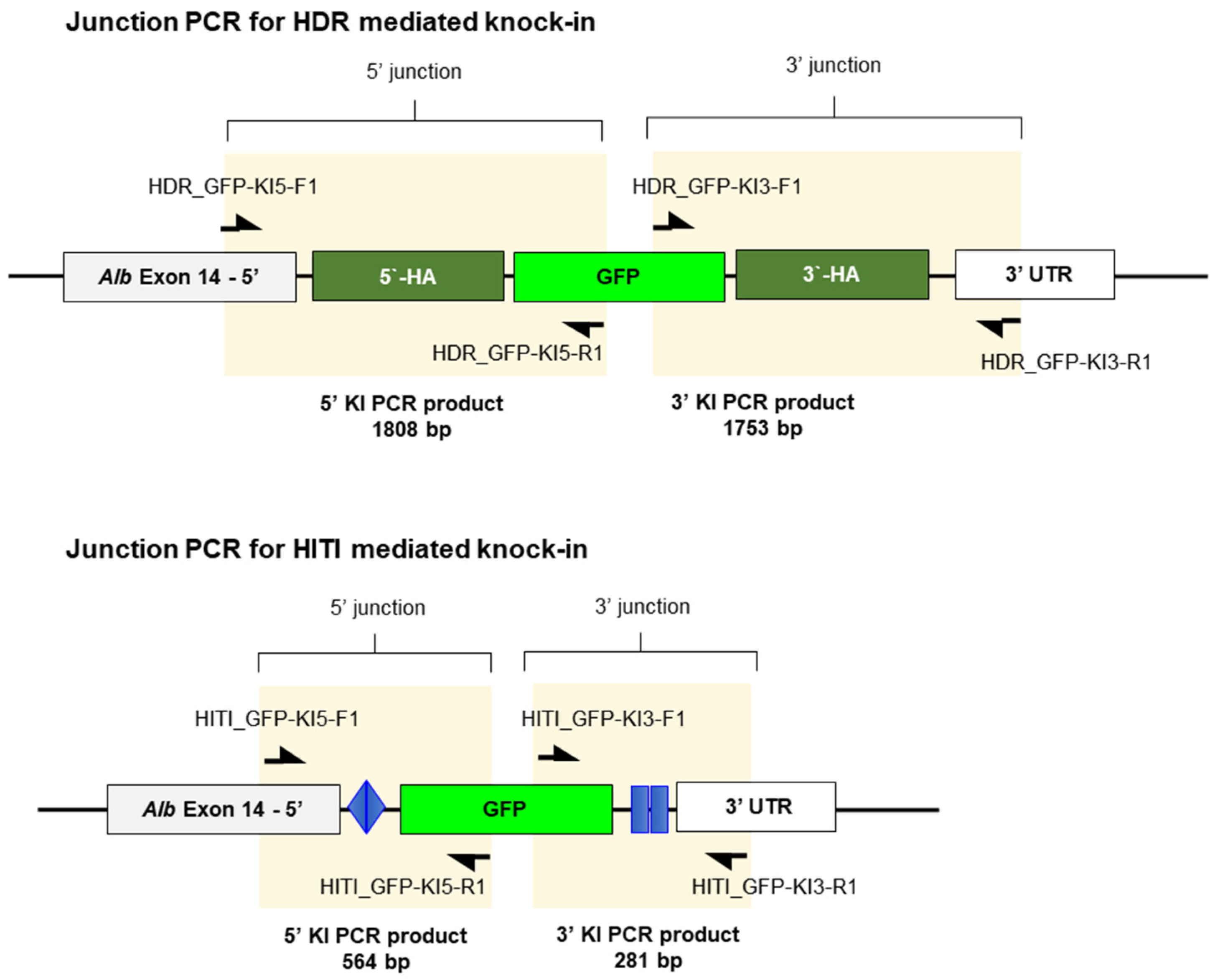 Biomolecules 14 01558 g0a2