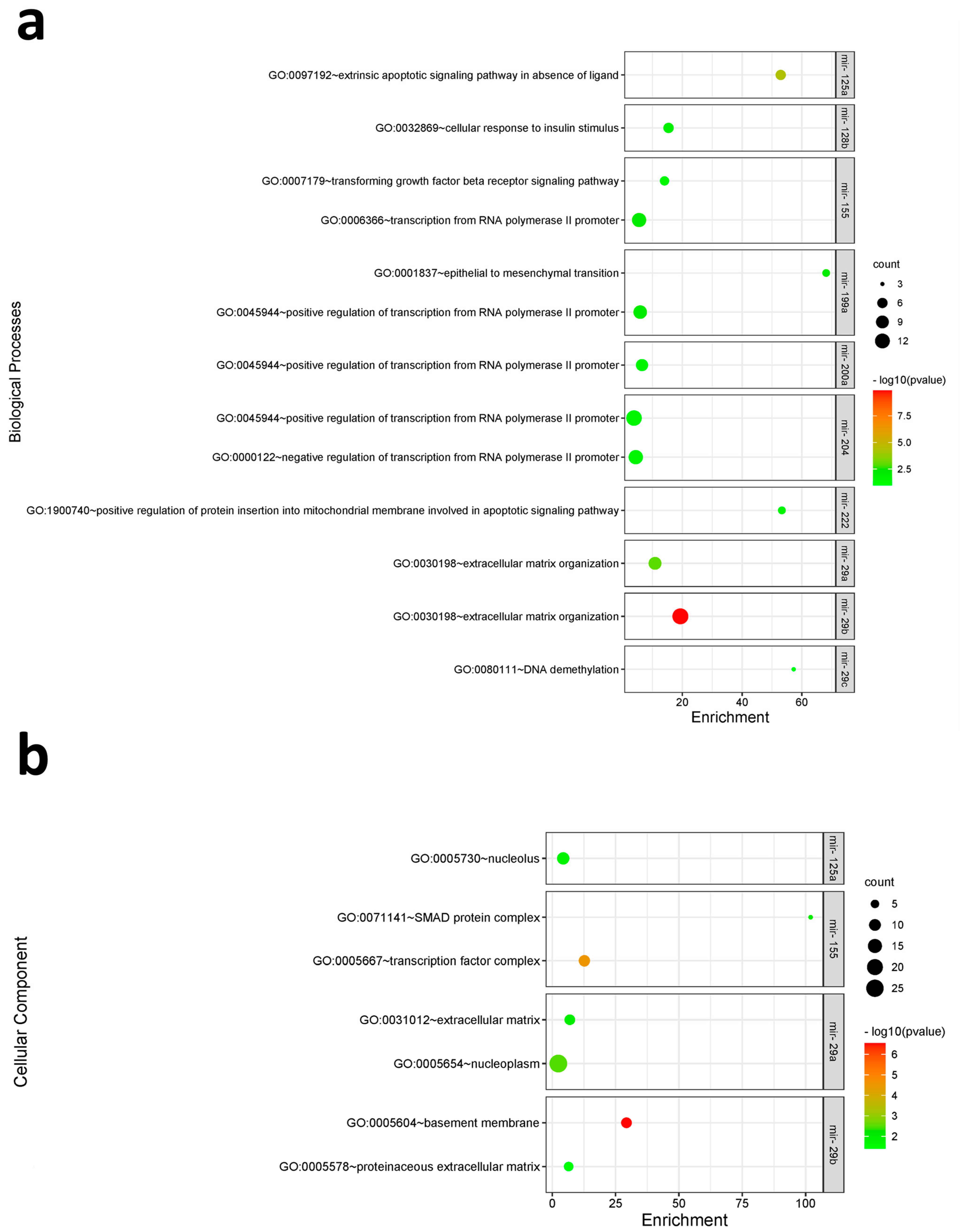 Biomolecules 14 01559 g006a