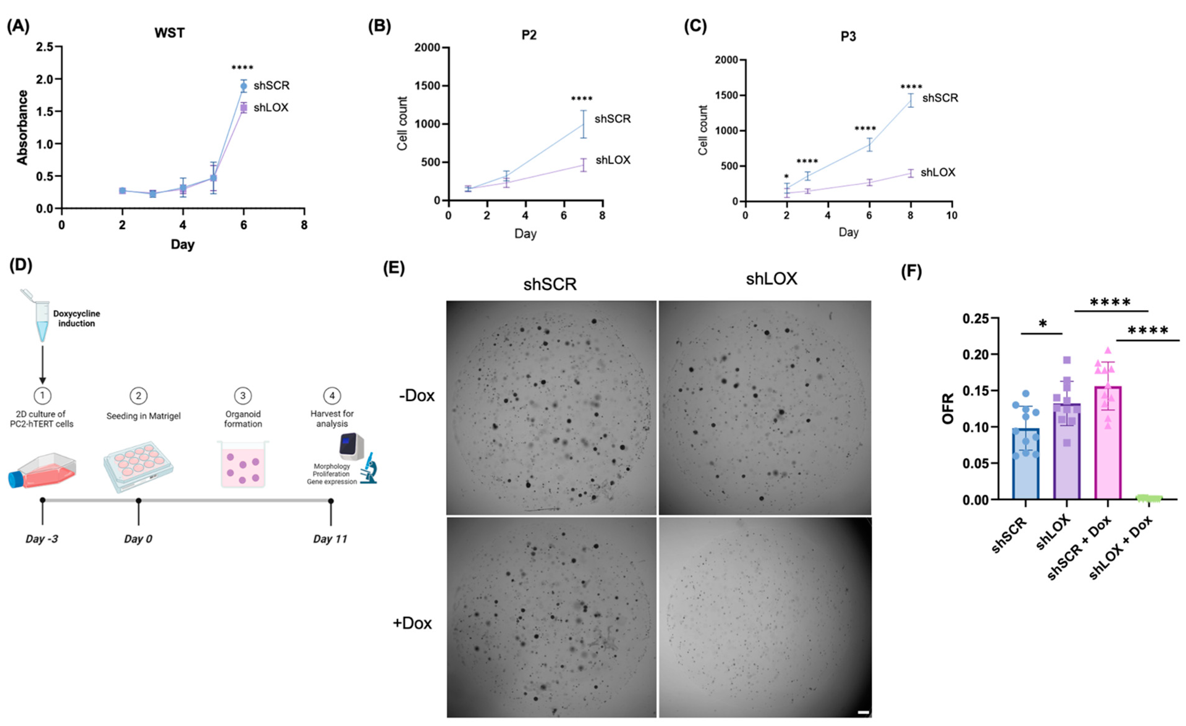 Biomolecules 14 01560 g001