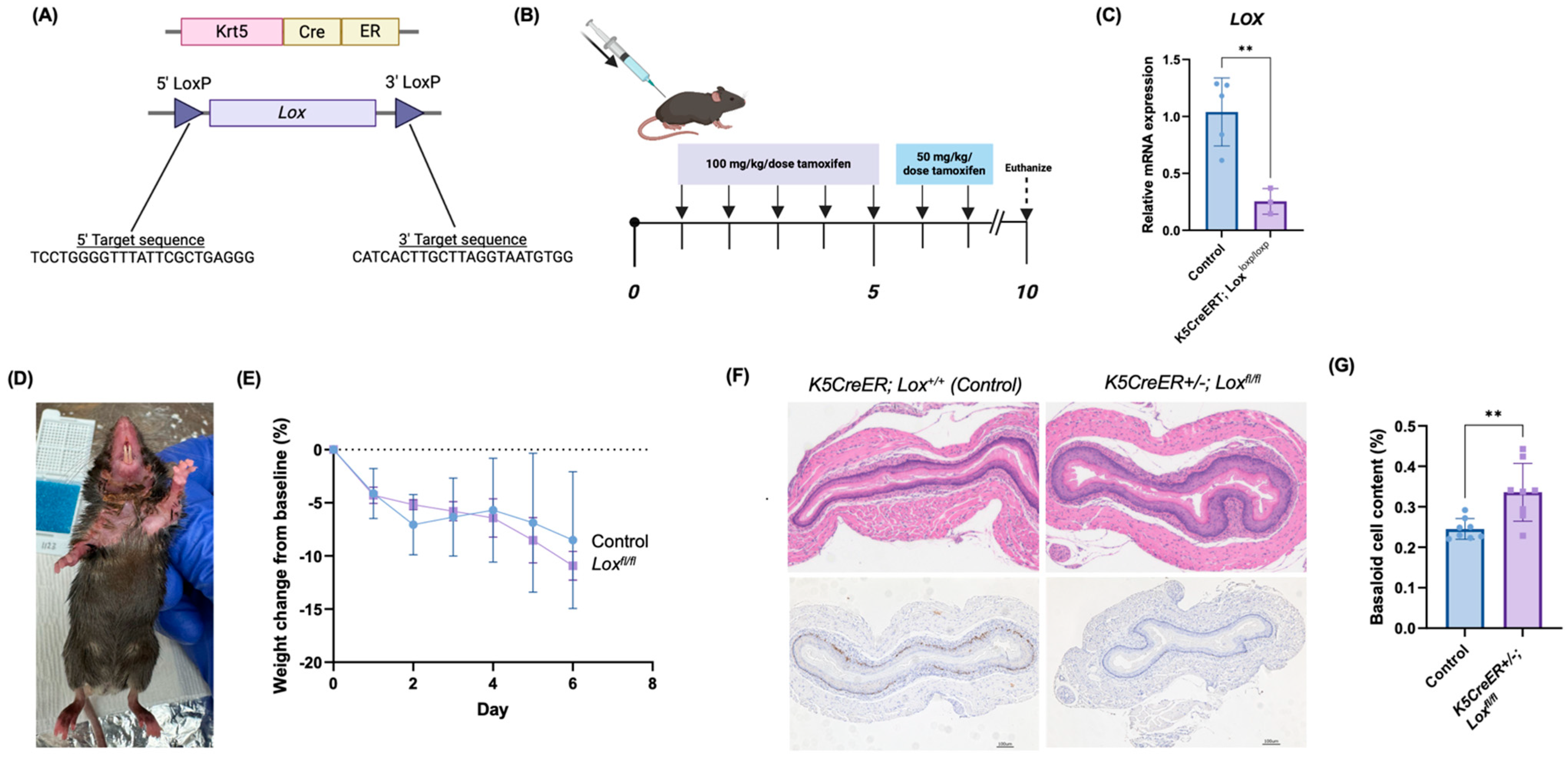 Biomolecules 14 01560 g004
