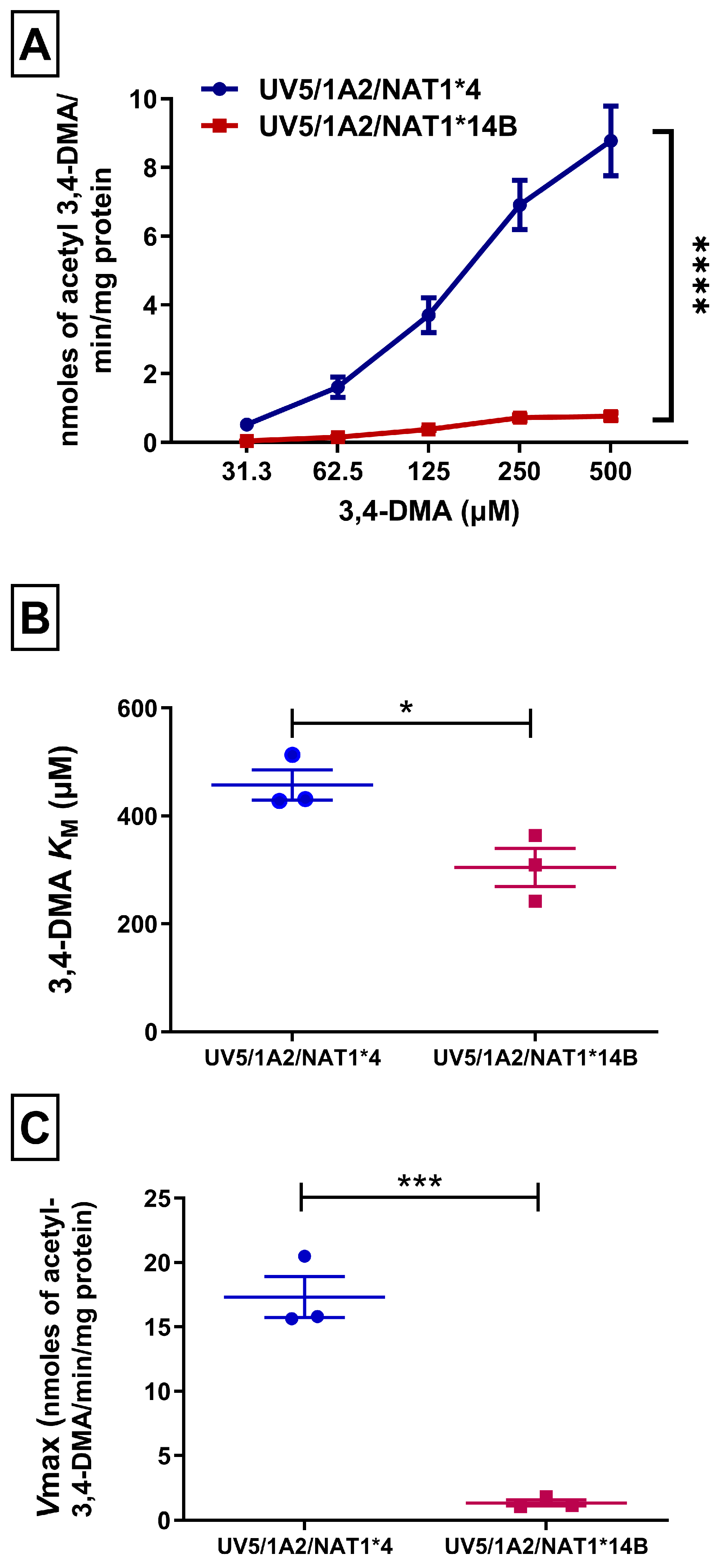 Biomolecules 14 01562 g001 Biomolecules 14 01562 g001