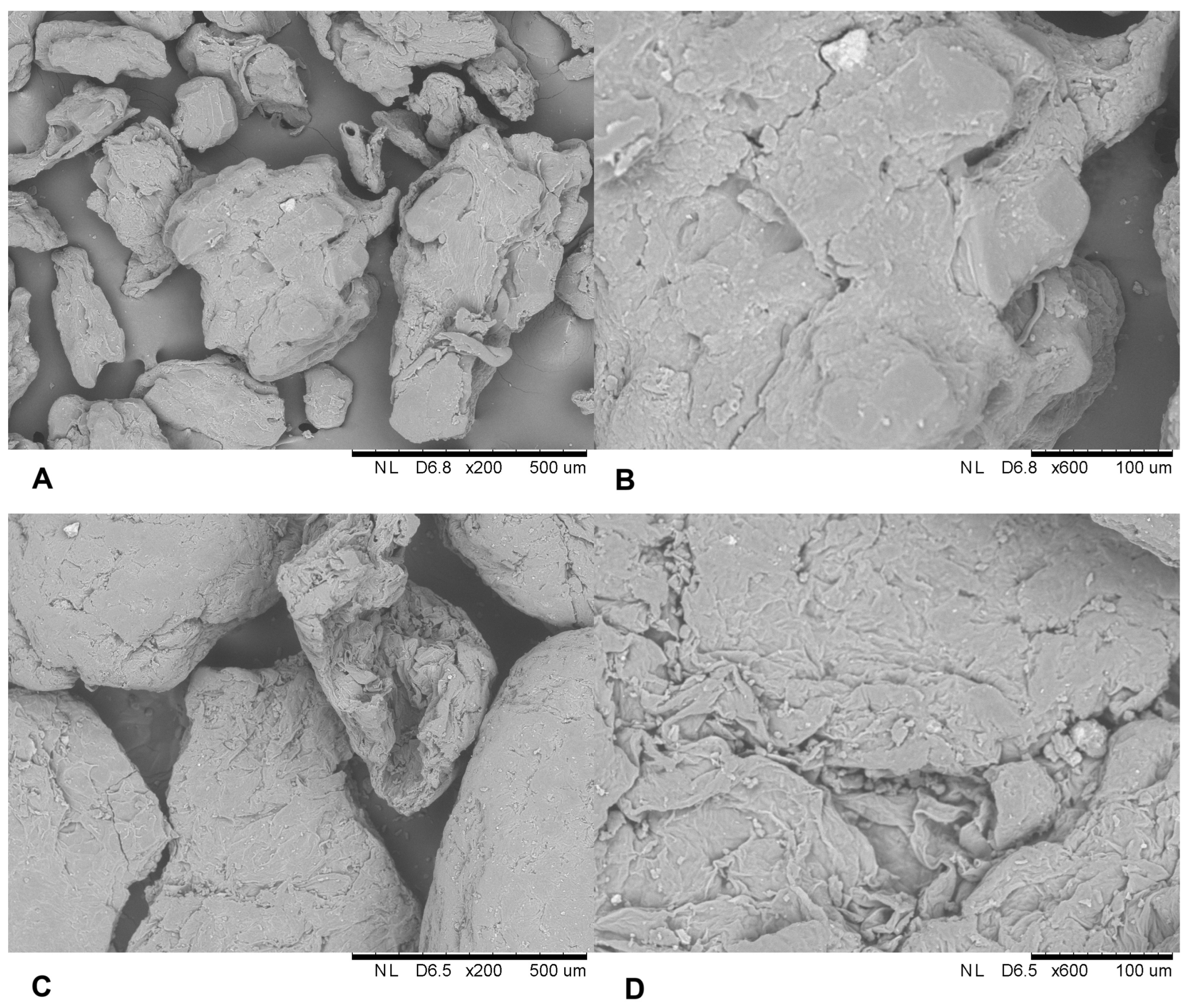 Biomolecules 14 01564 g001